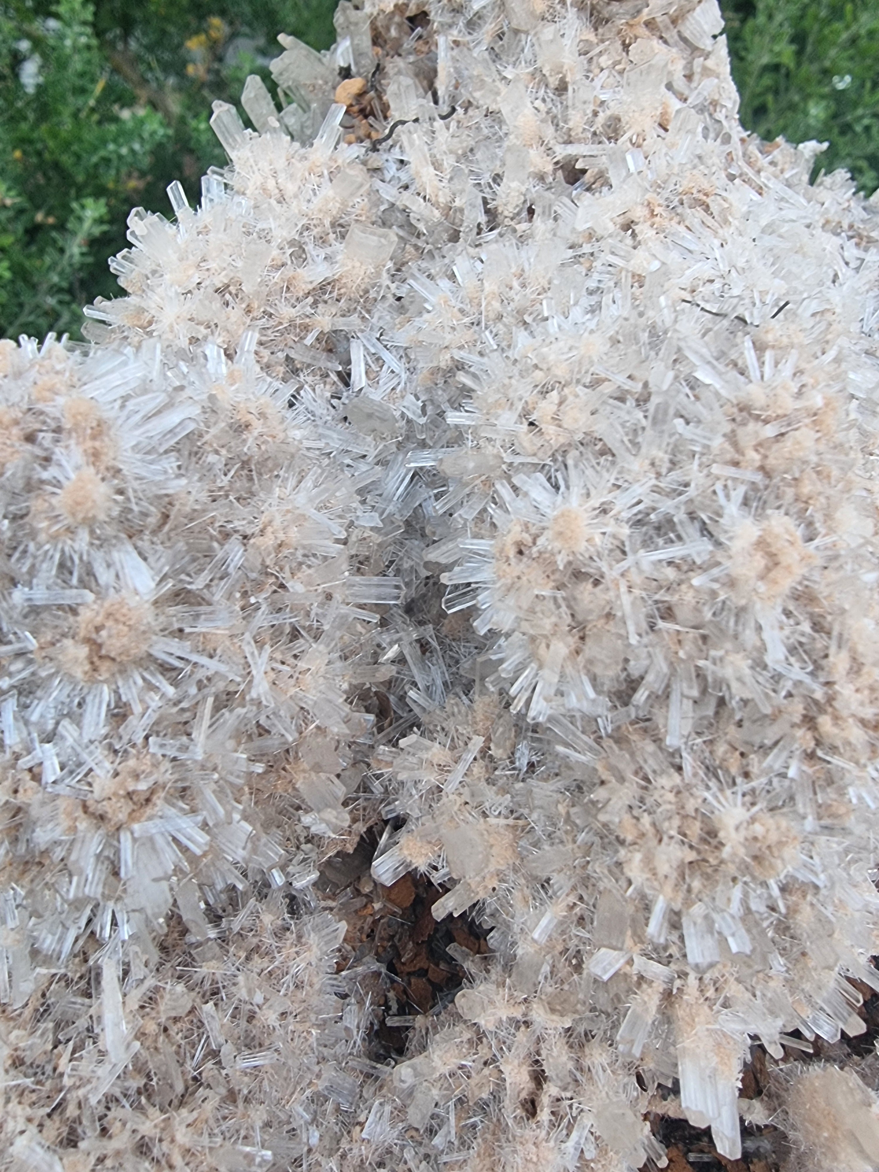 Gypsum Crystal Cluster