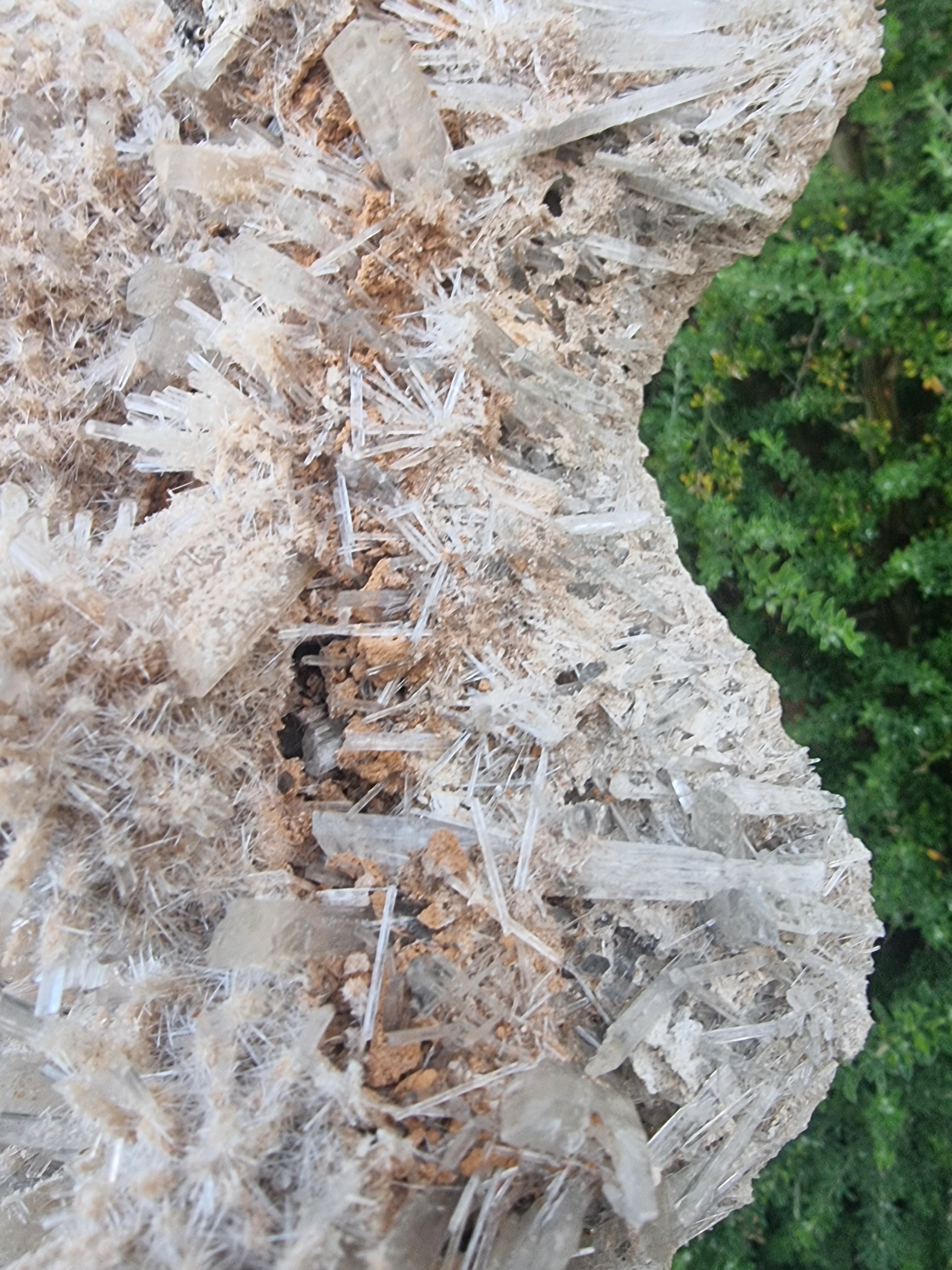Gypsum Crystal Cluster