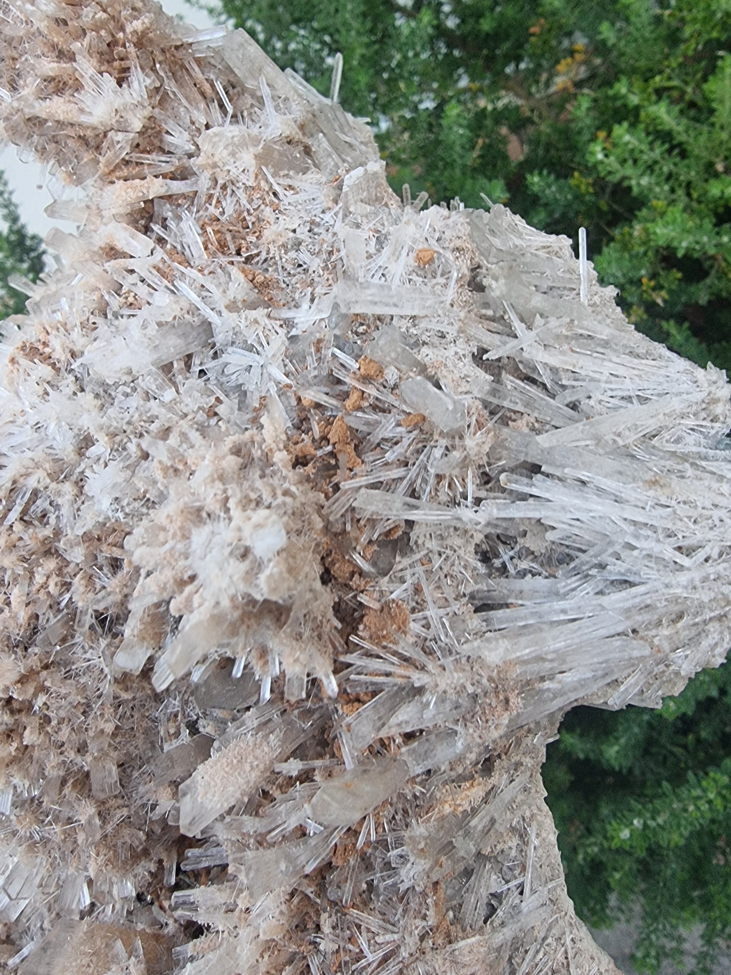 Gypsum Crystal Cluster