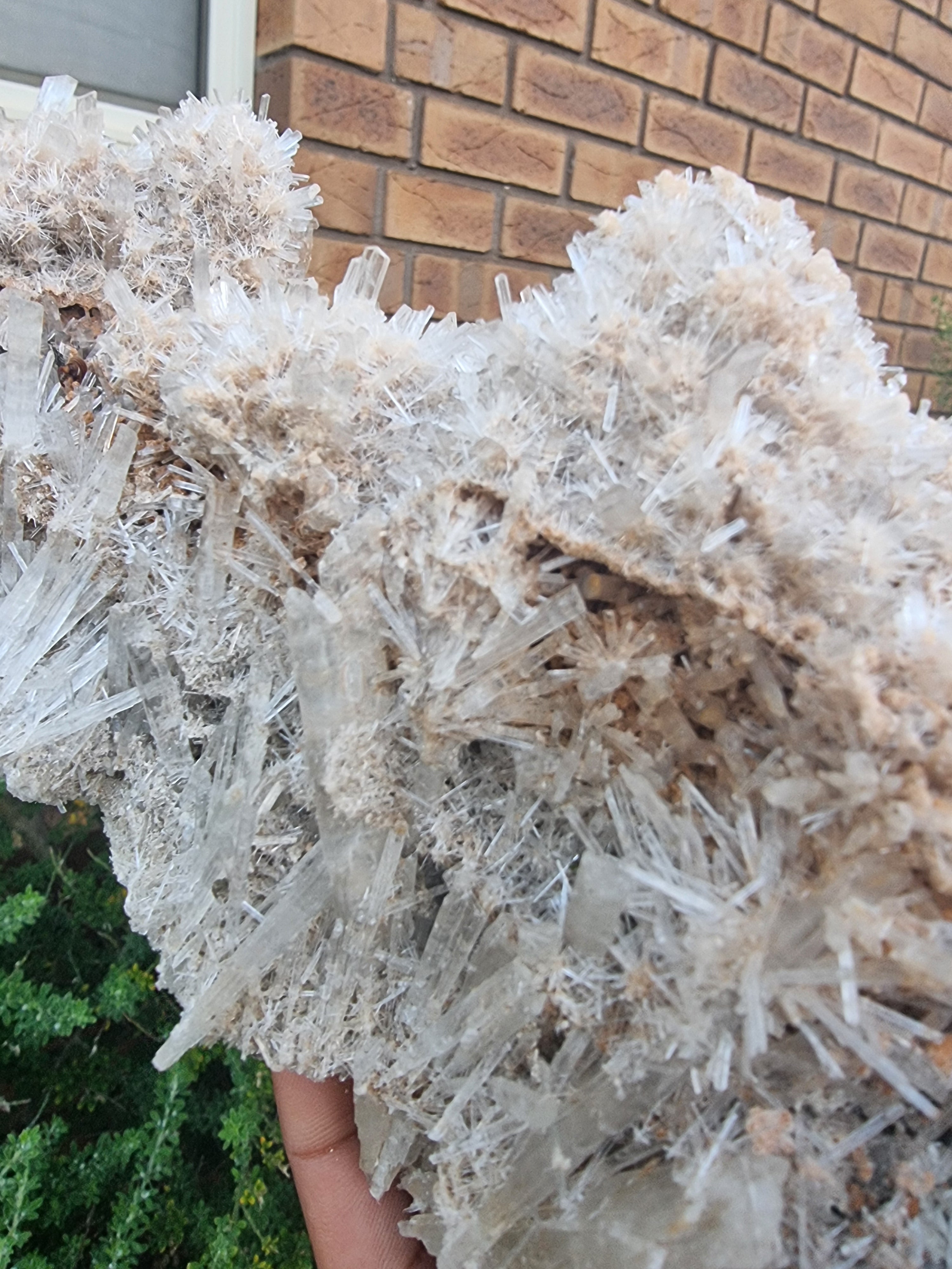 Gypsum Crystal Cluster