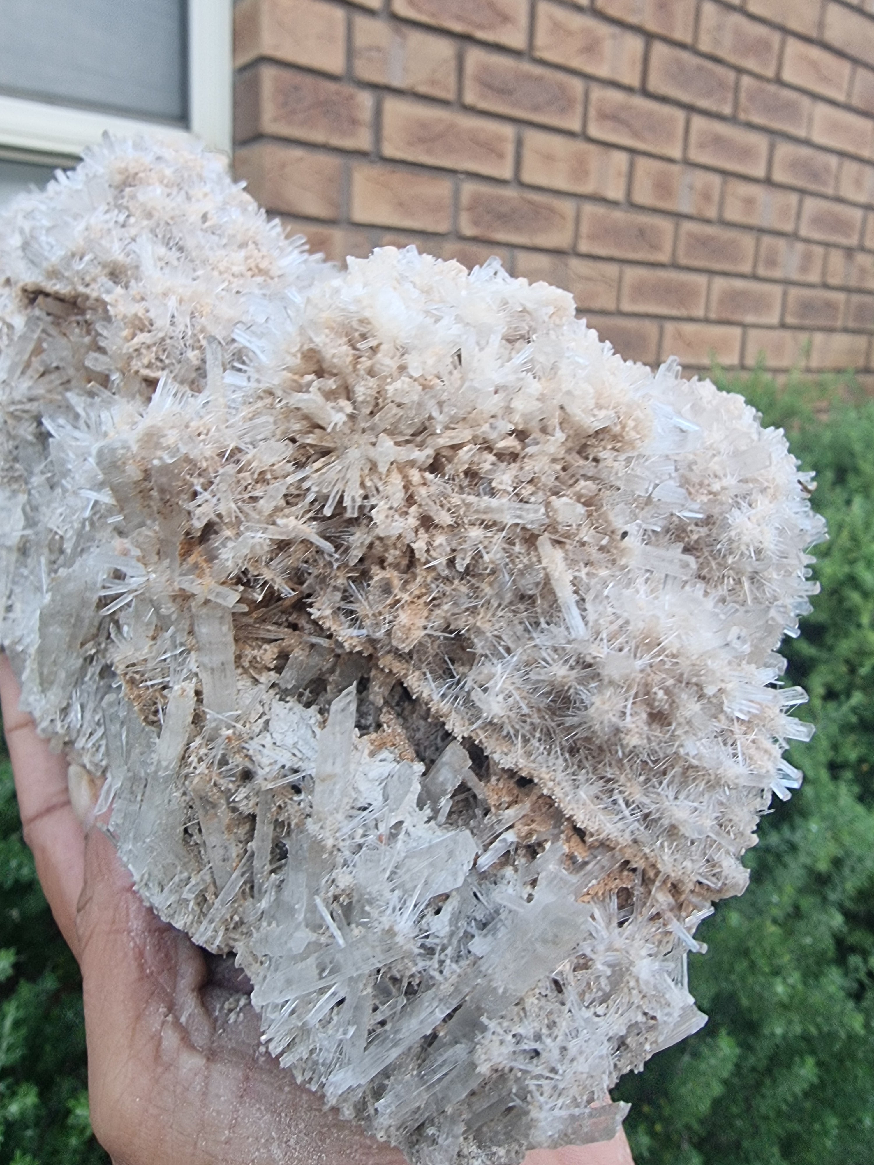 Gypsum Crystal Cluster