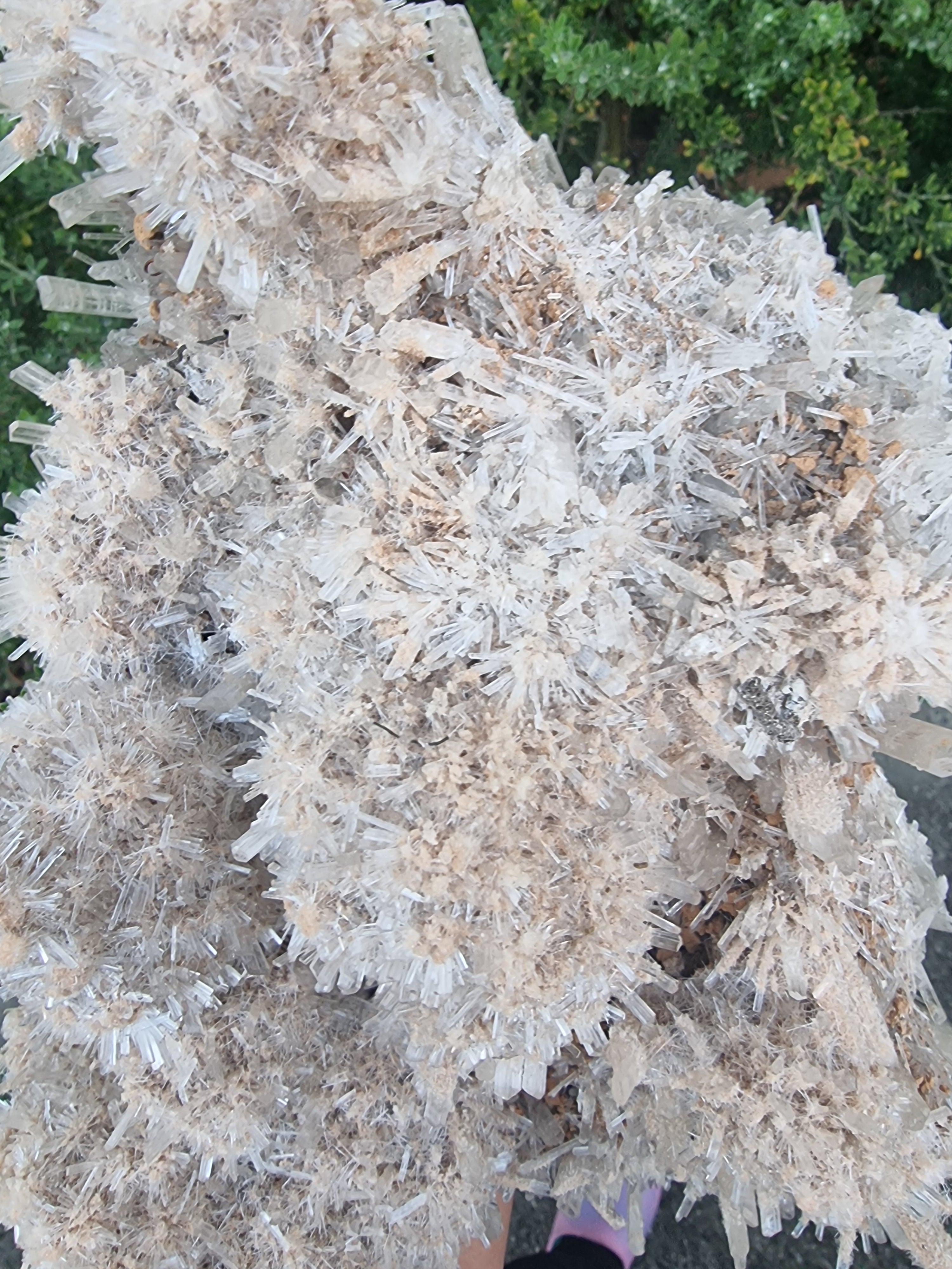 Gypsum Crystal Cluster
