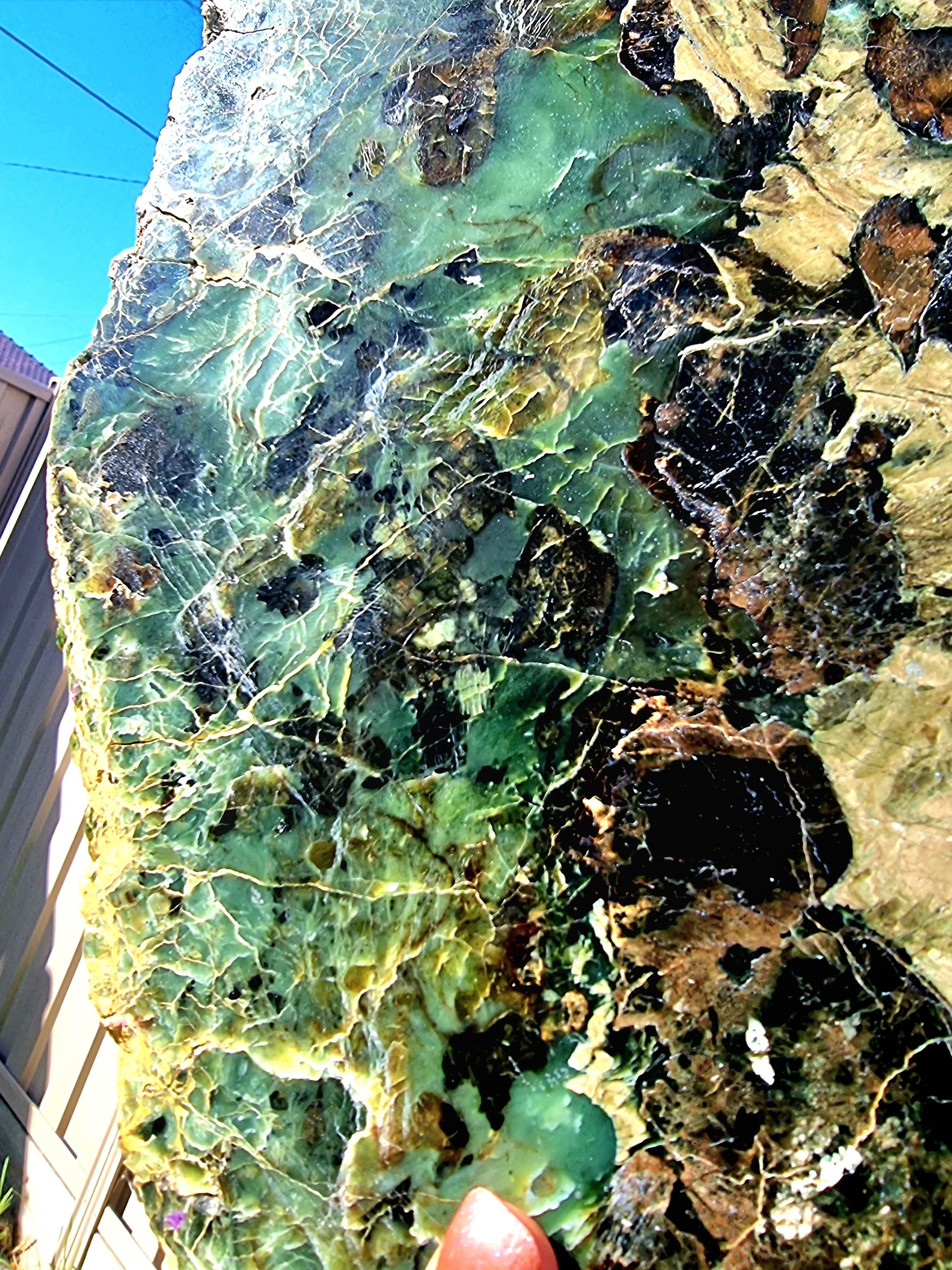 Tasmania Serpentine Mixed Jade with Black Magnetite Slab