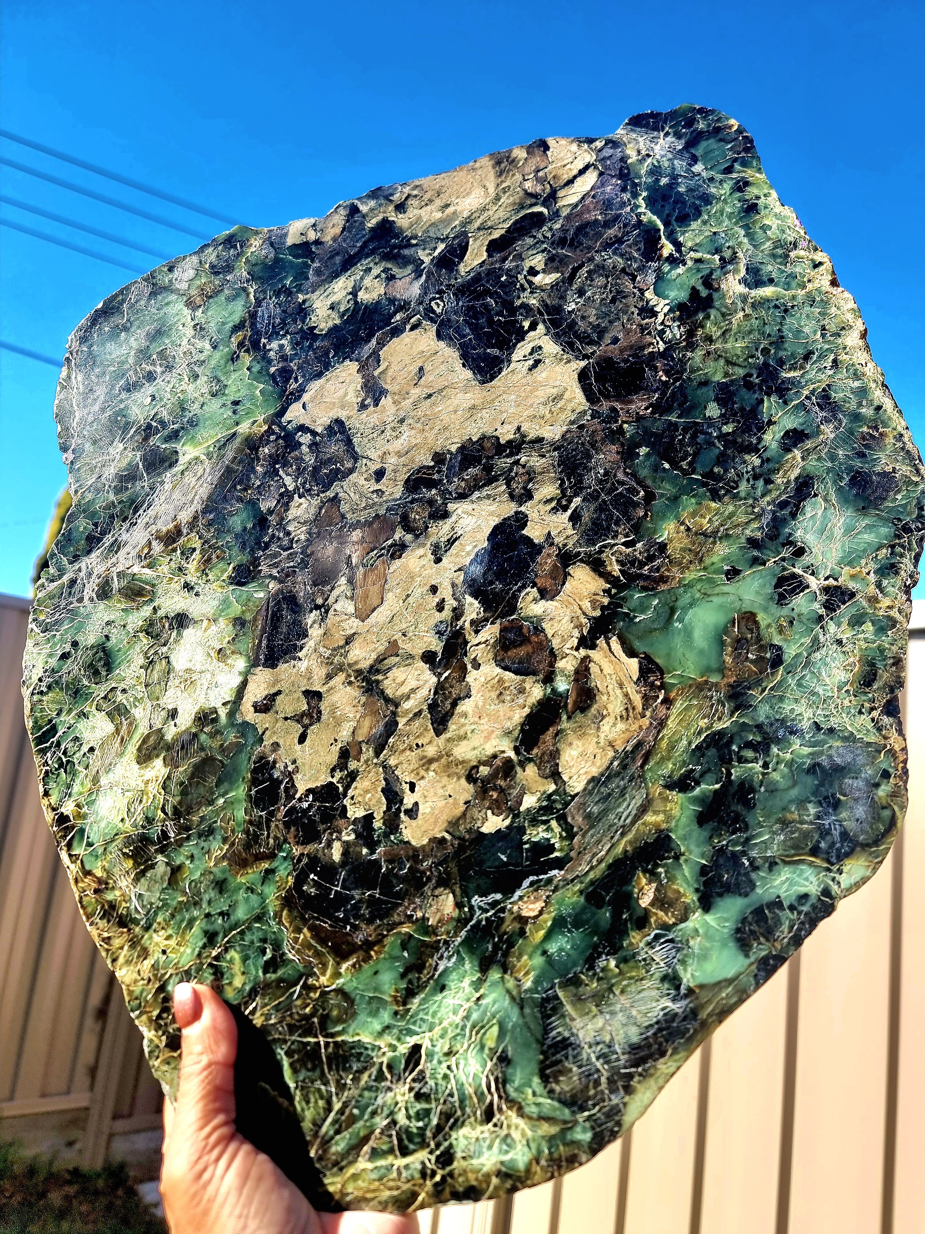 Tasmania Serpentine Mixed Jade with Black Magnetite Slab