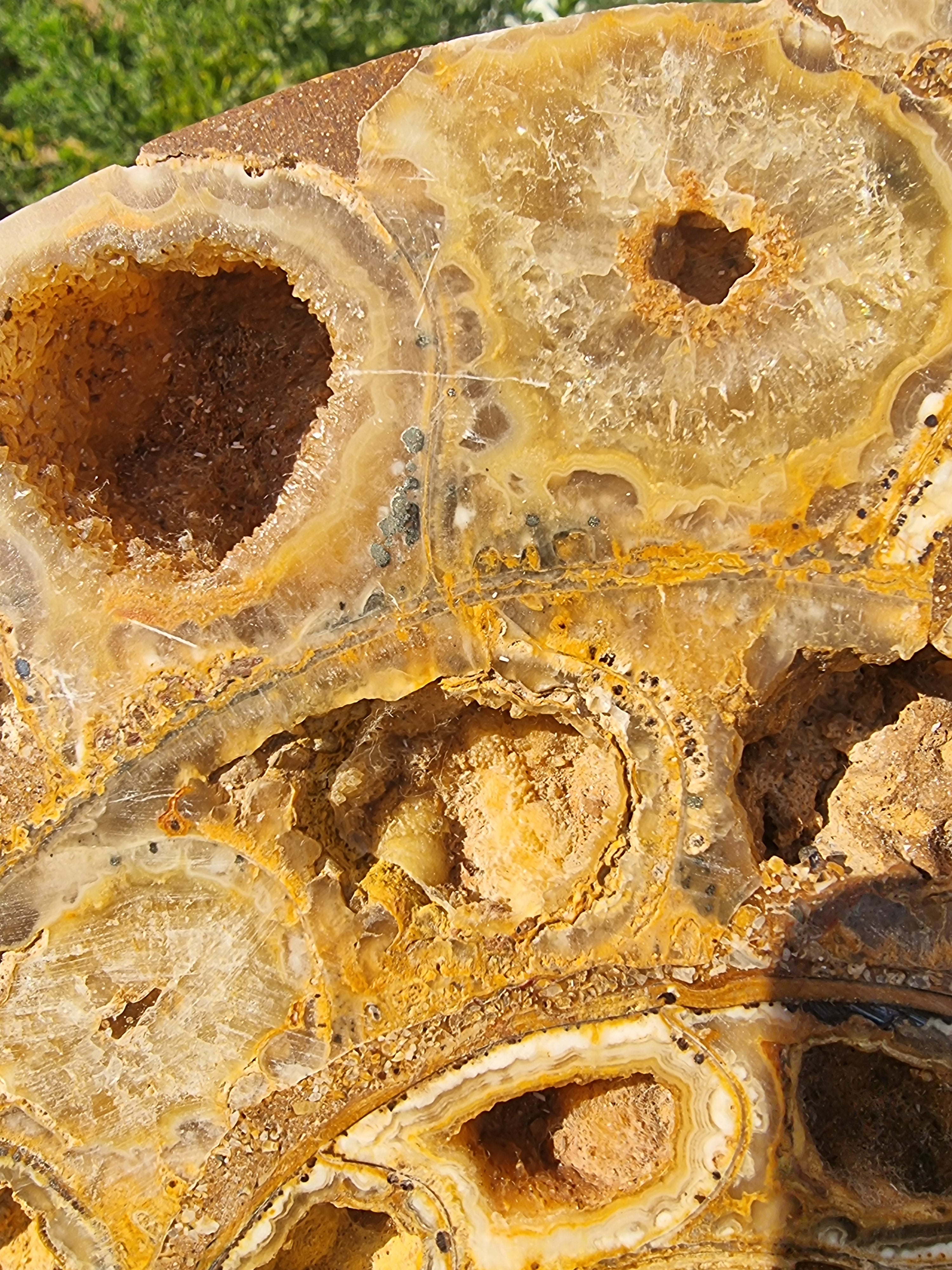 Ammonite Geode Large