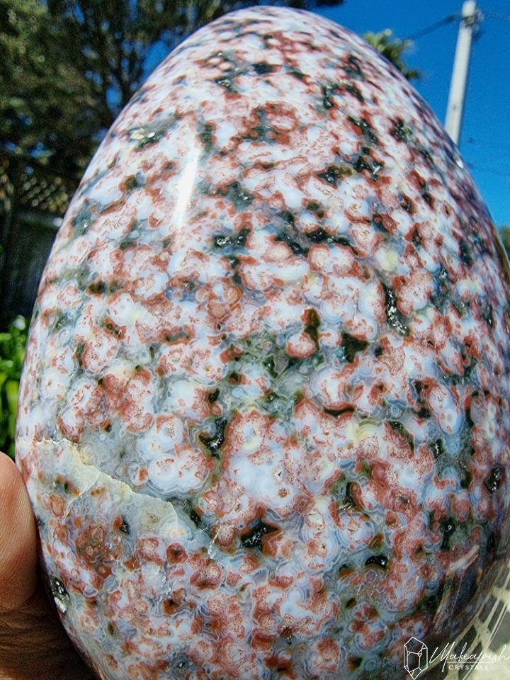 Pink Ocean Jasper Freeform