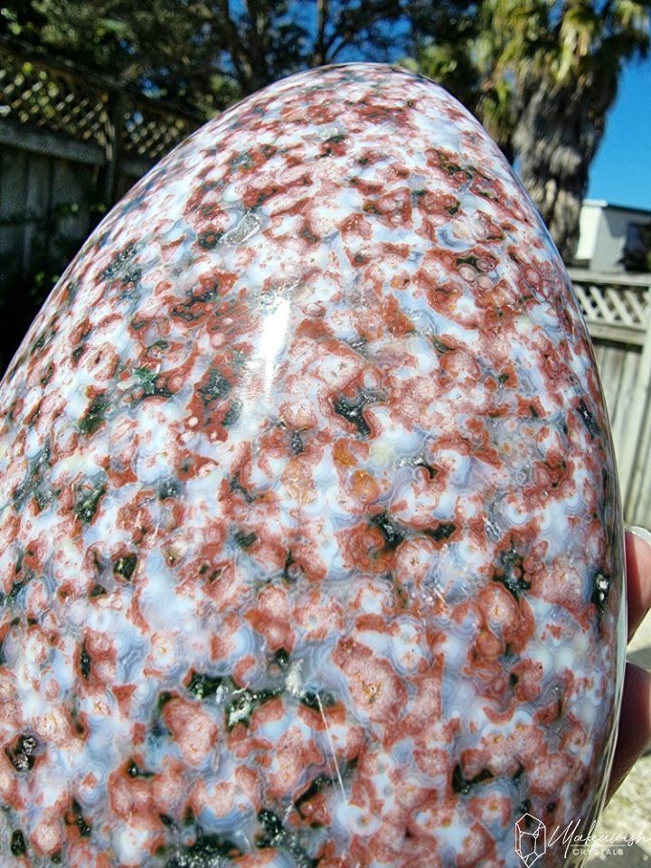 Pink Ocean Jasper Freeform