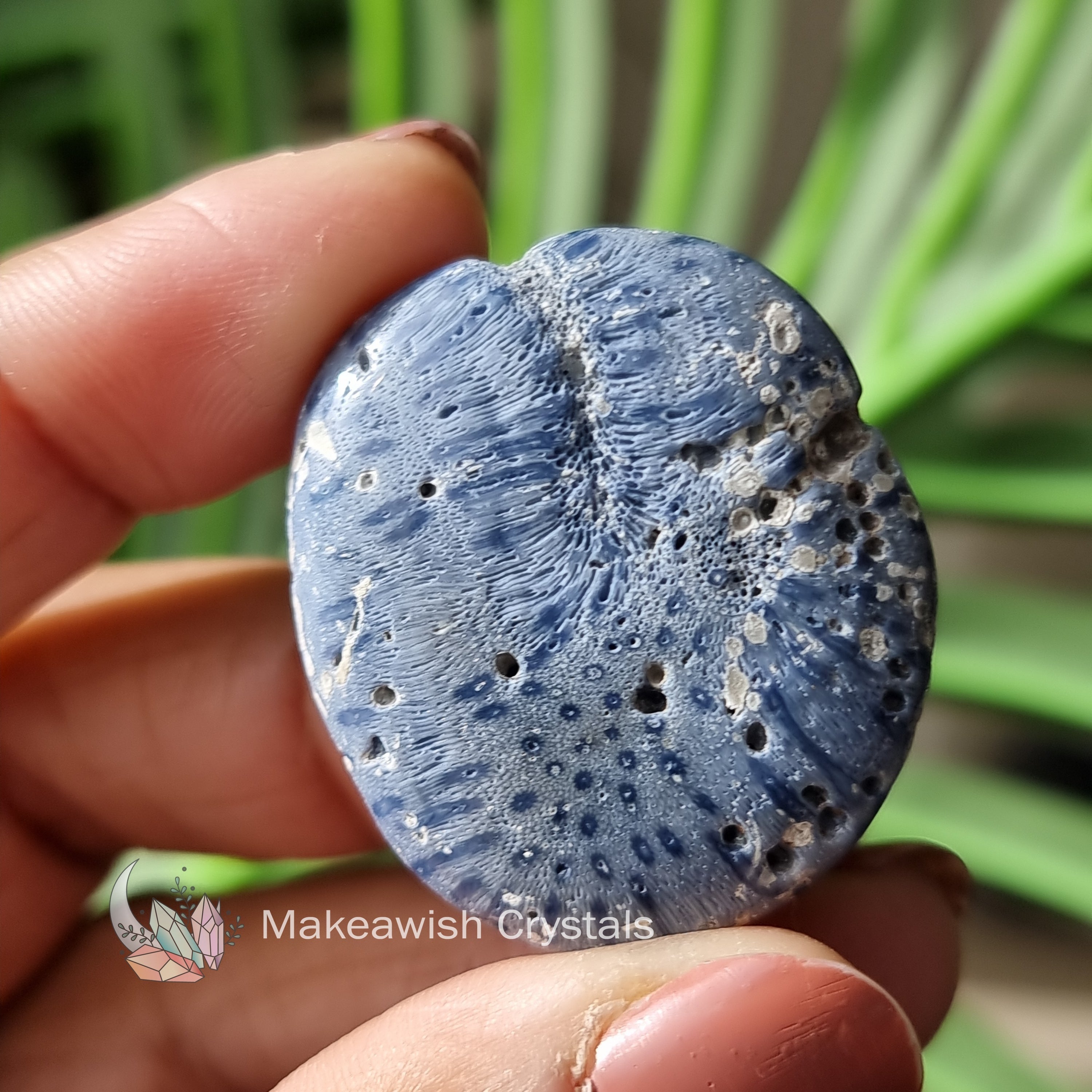 Blue Coral Flatstone