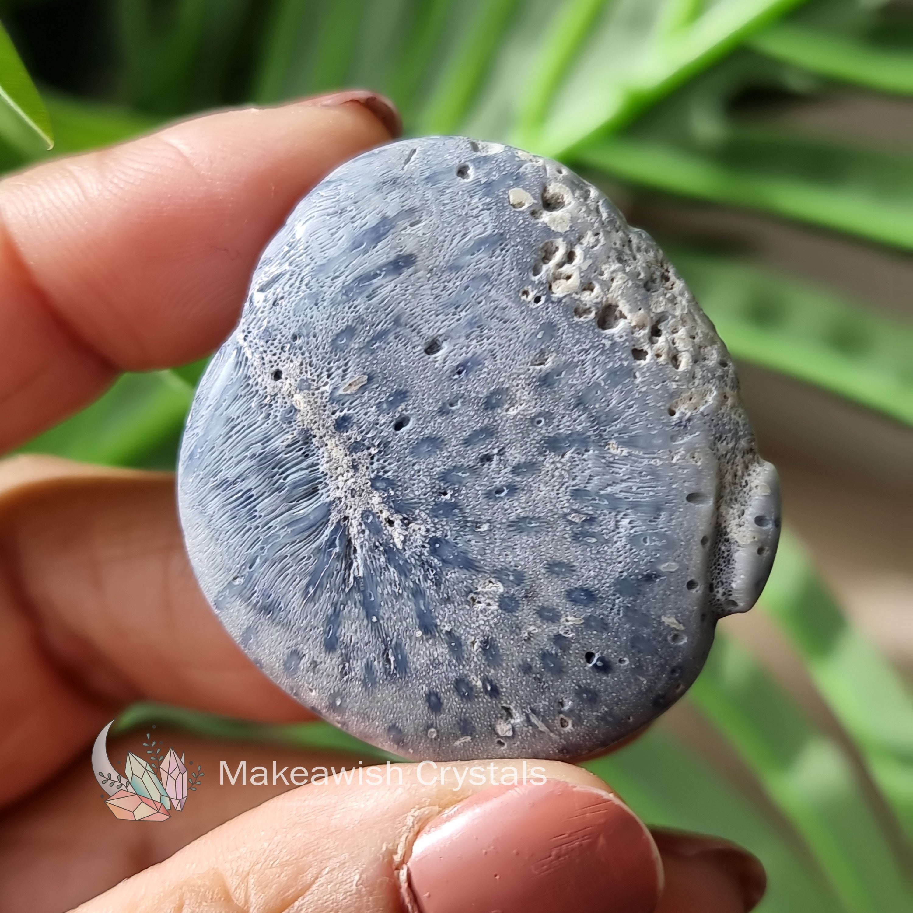 Blue Coral Flatstone