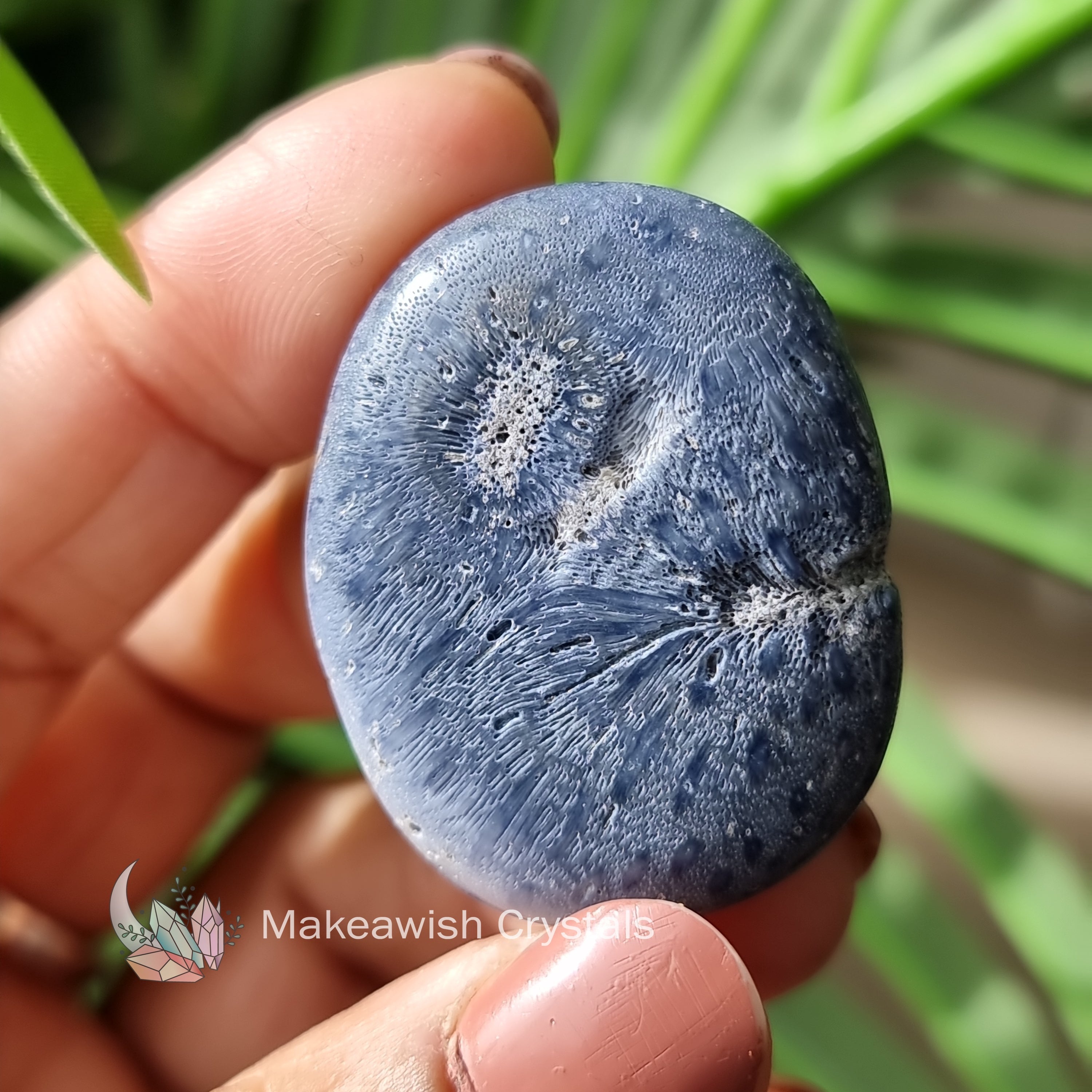 Blue Coral Flatstone