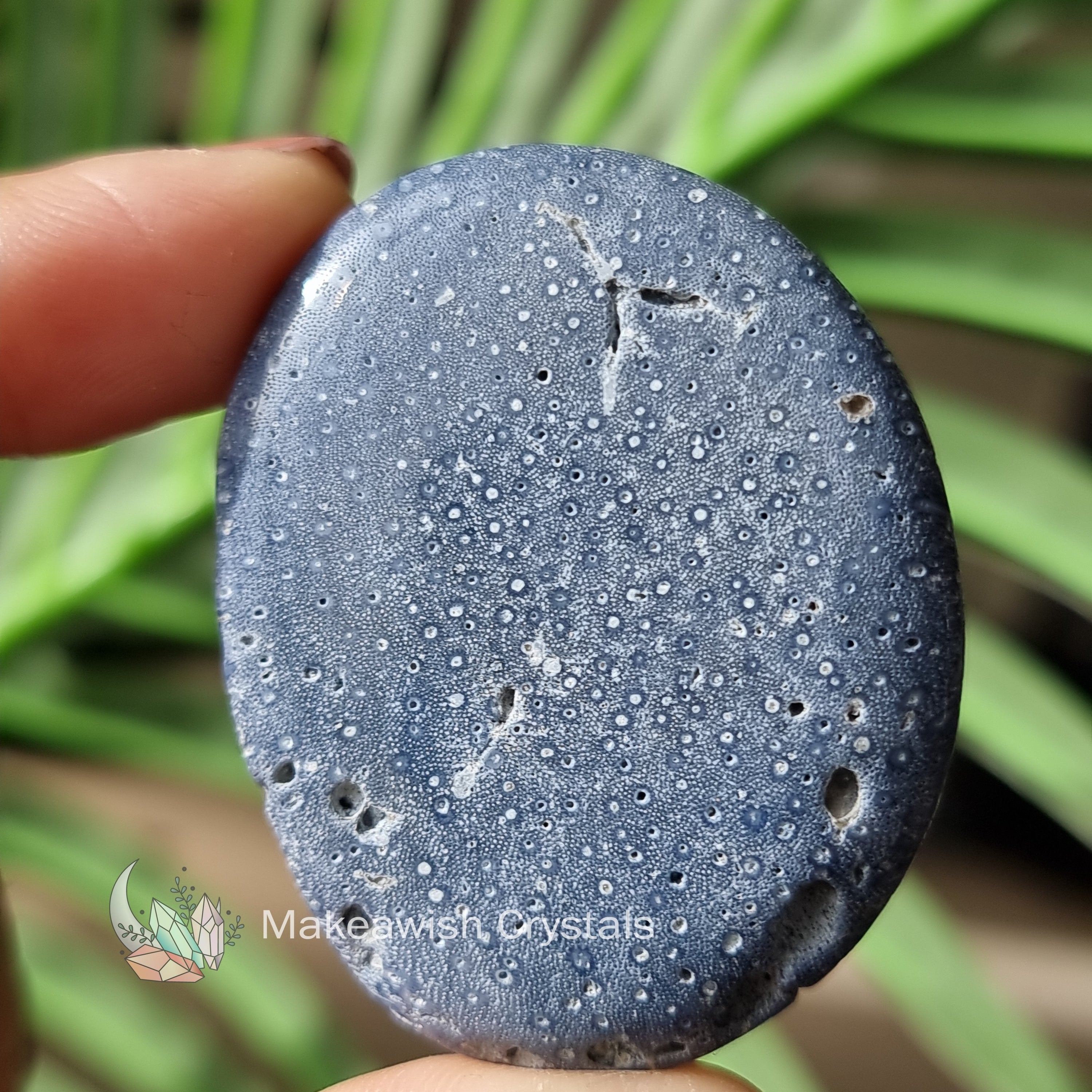 Blue Coral Flatstone