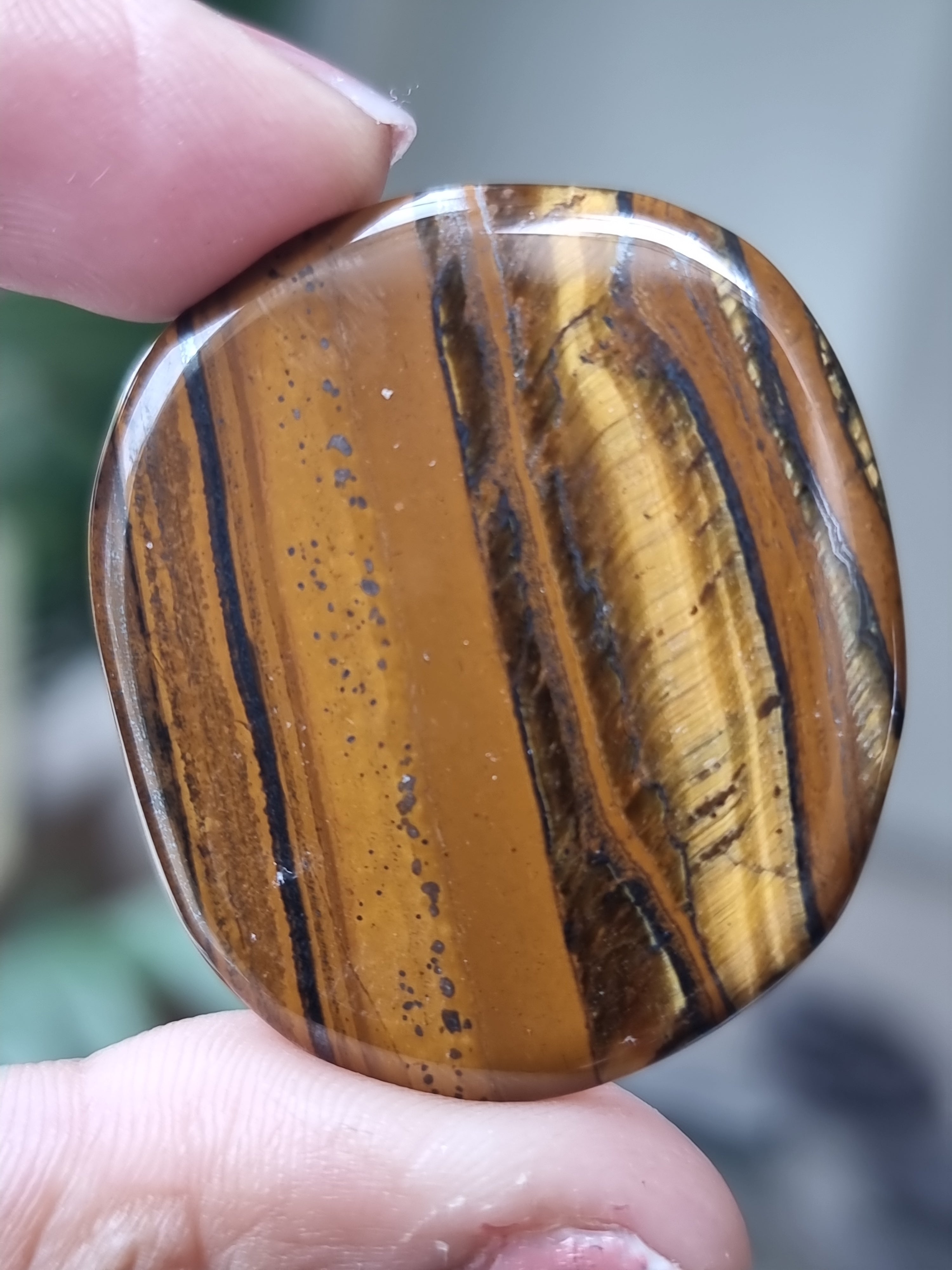 Tigers Eye Flatstone