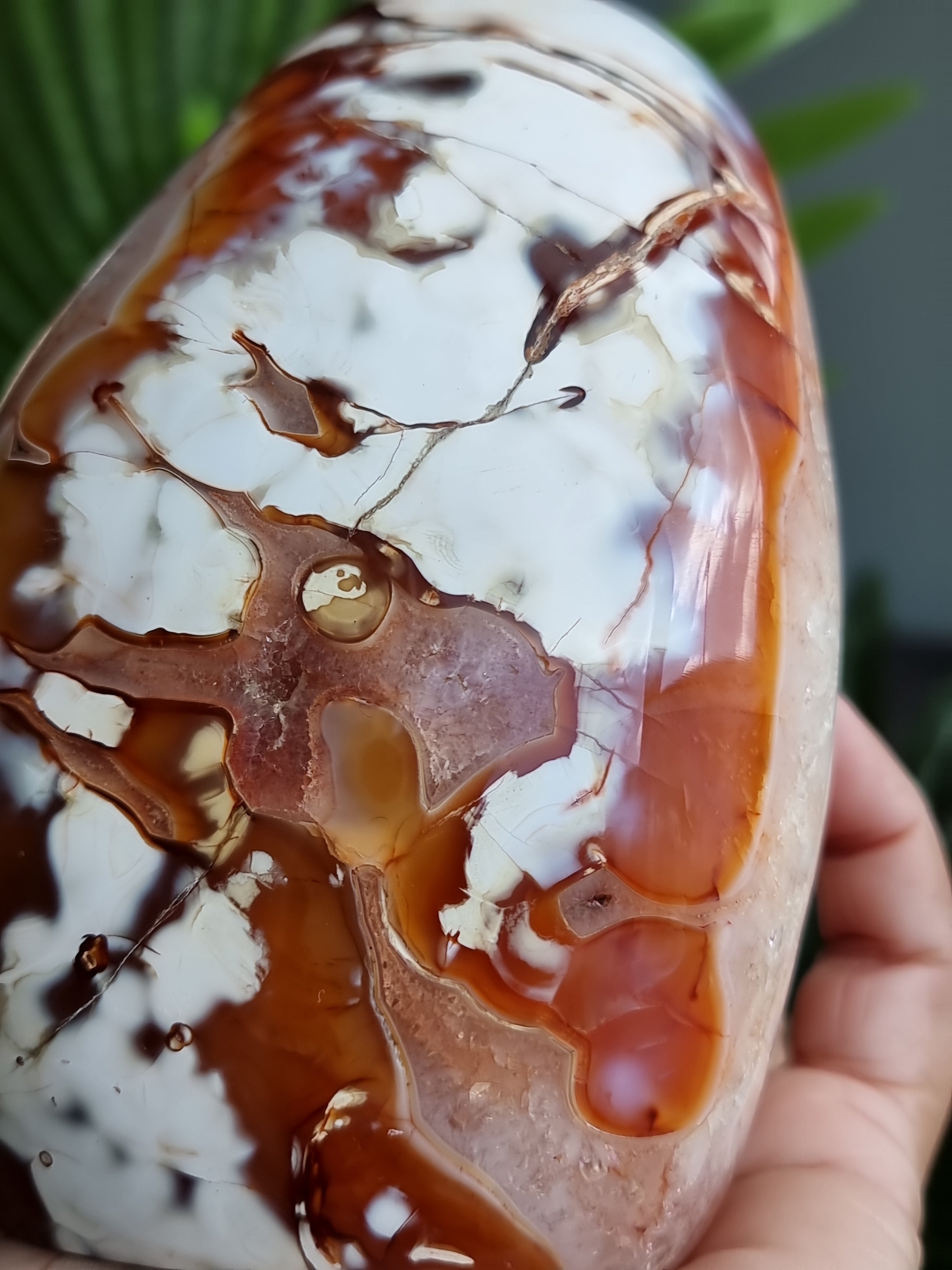 Carnelian Freeform
