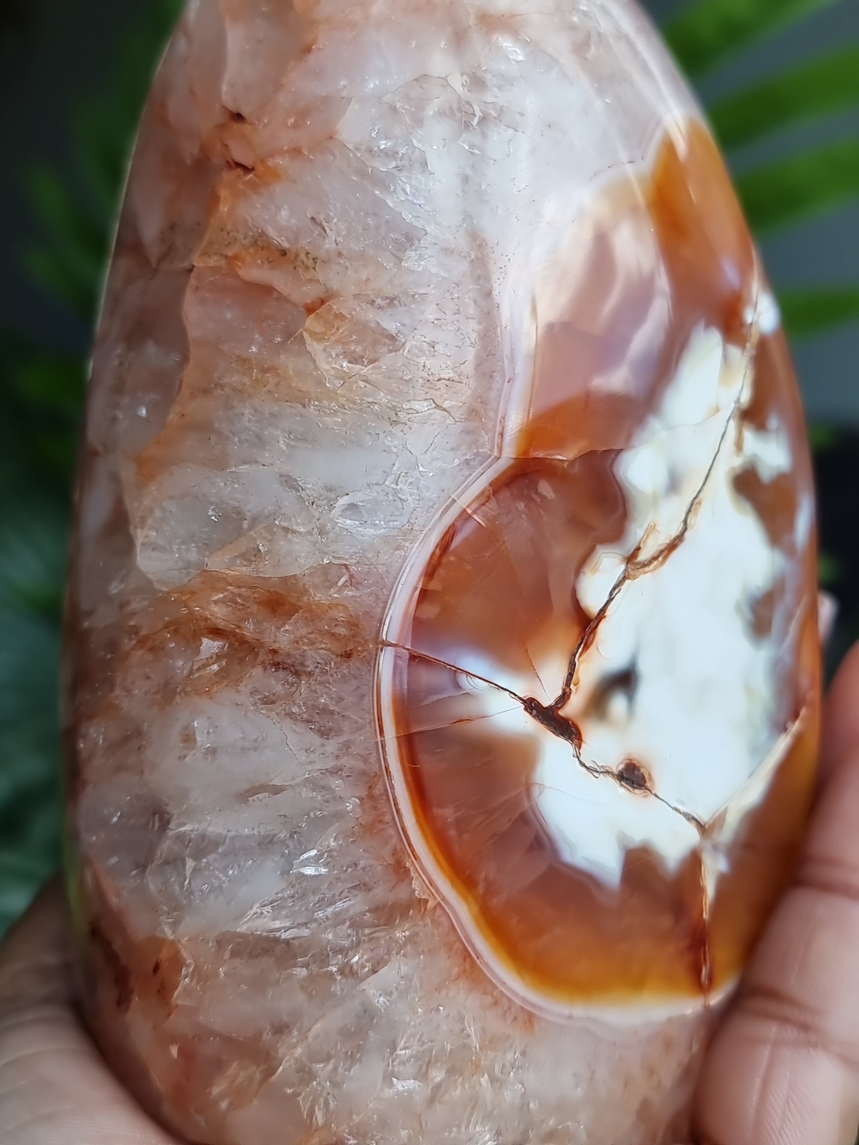 Carnelian Freeform