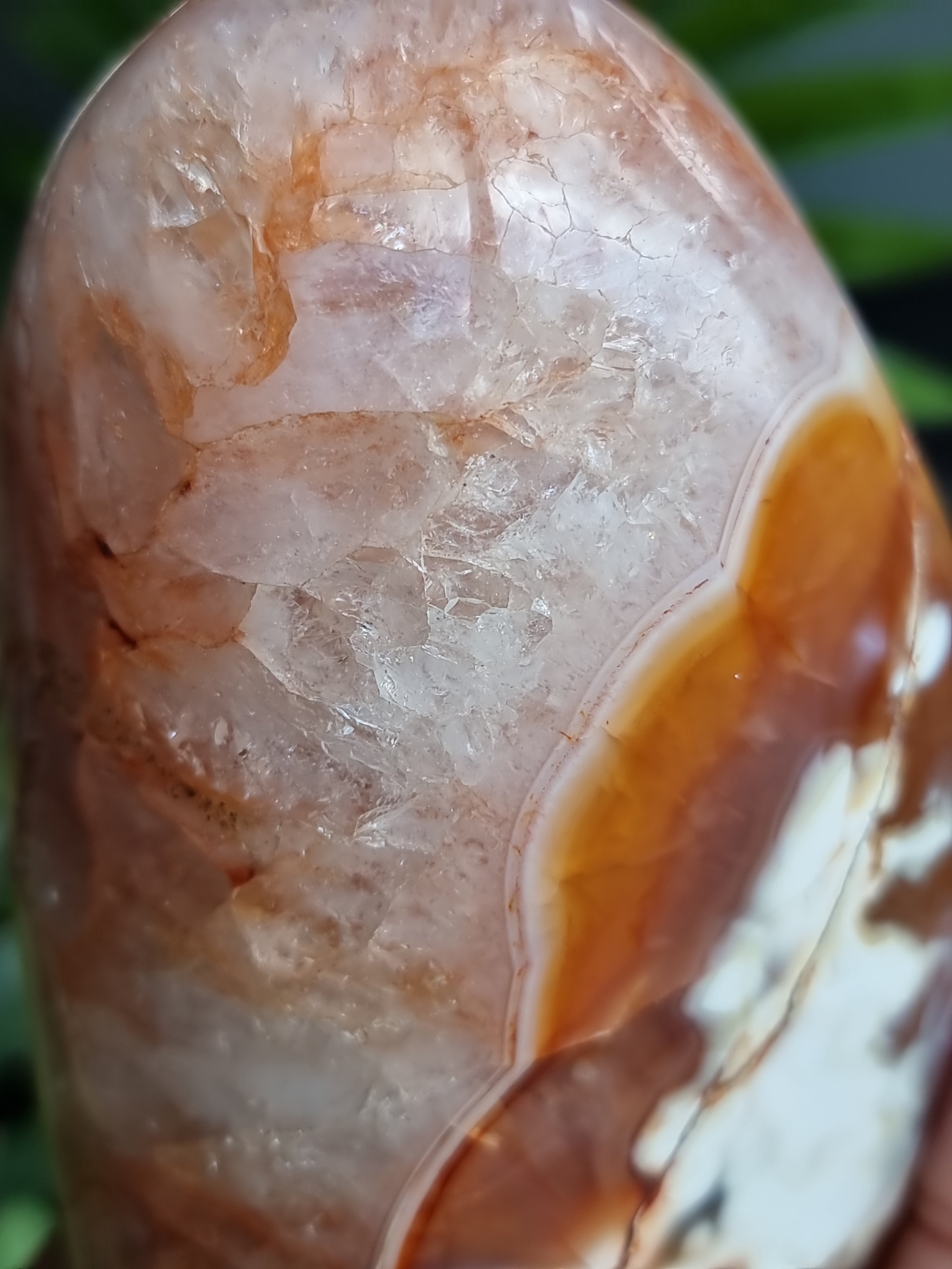 Carnelian Freeform