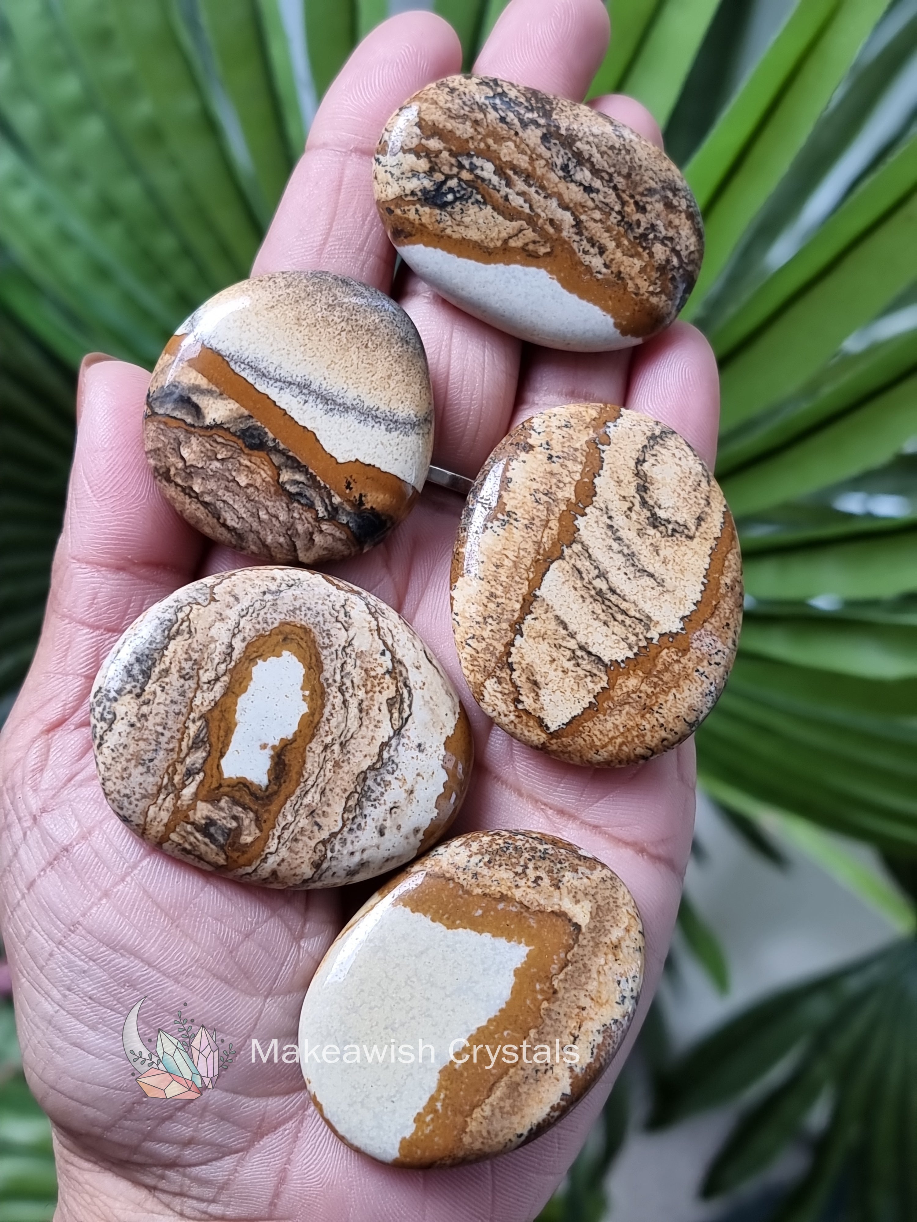 Picture Jasper FlatStone