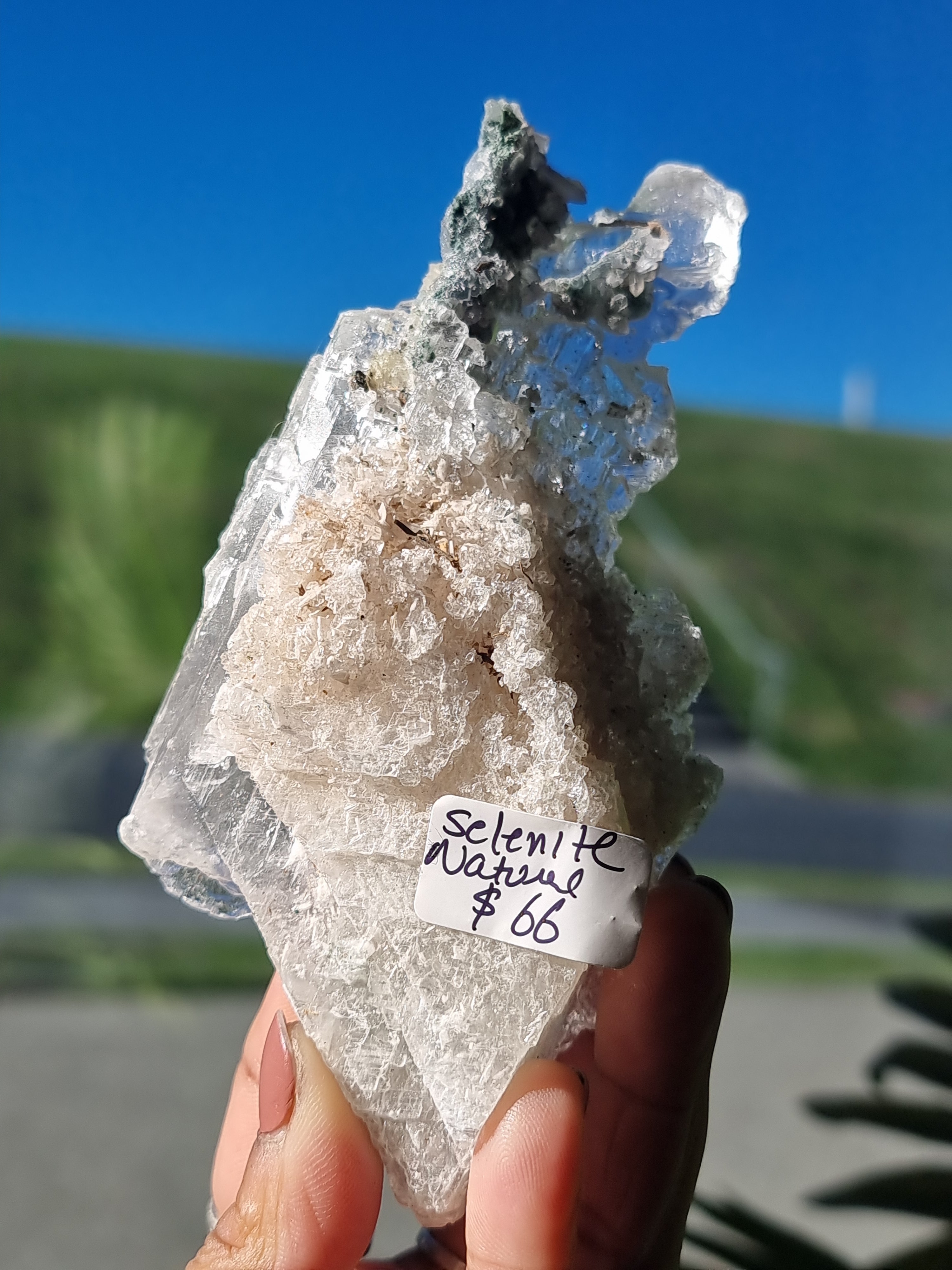 Selenite Blade Cluster