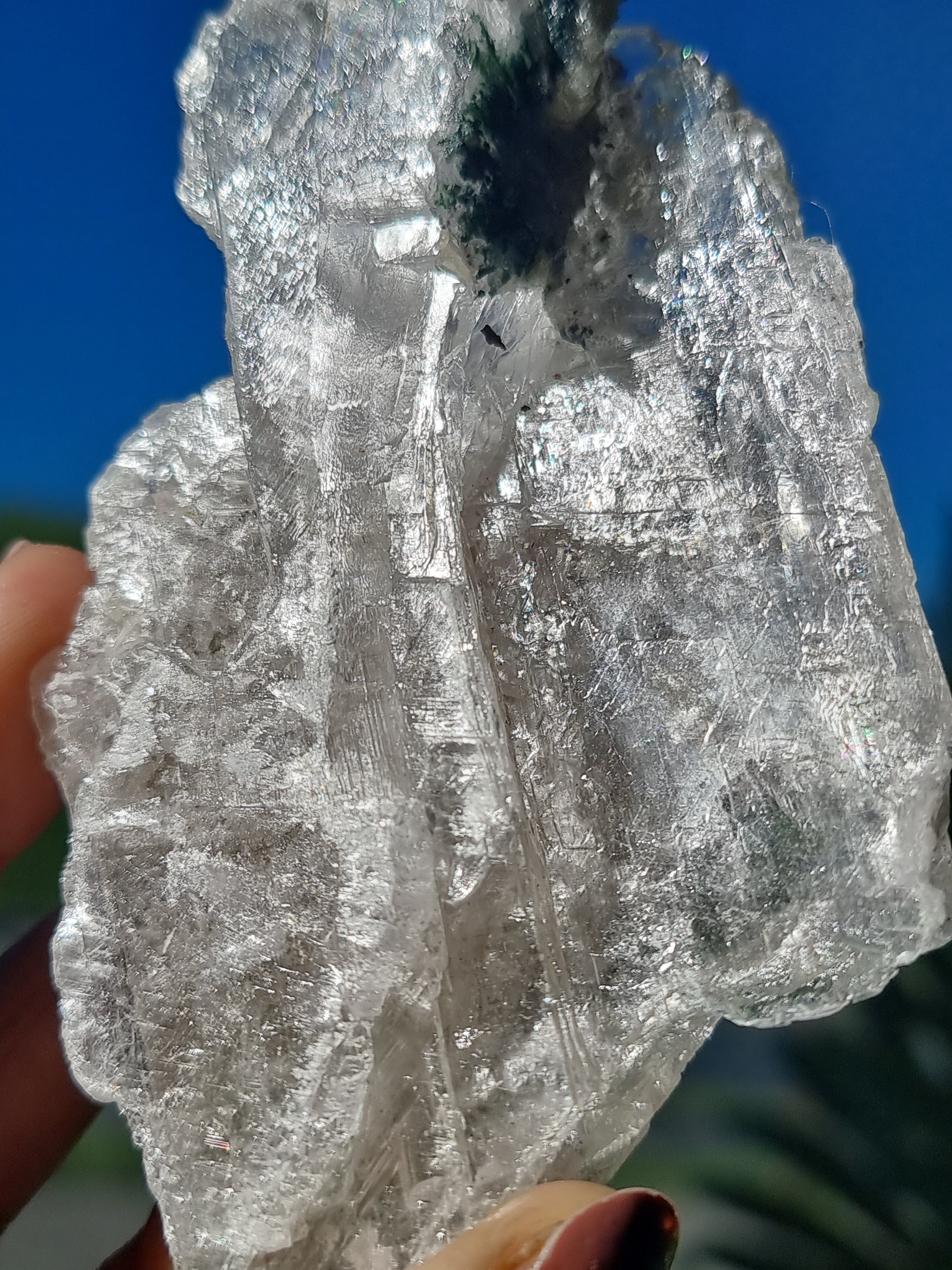 Selenite Blade Cluster
