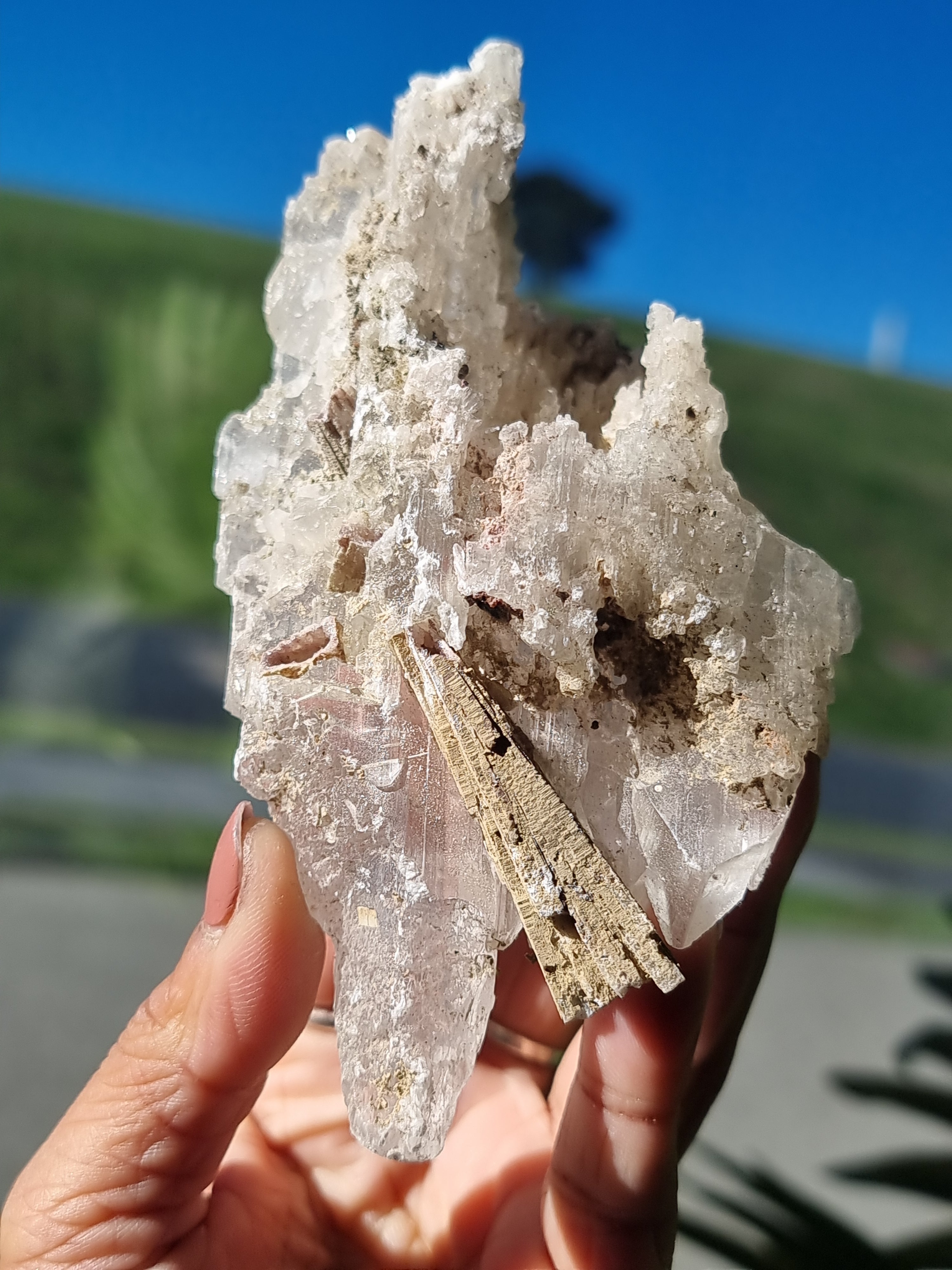Selenite Blade Cluster
