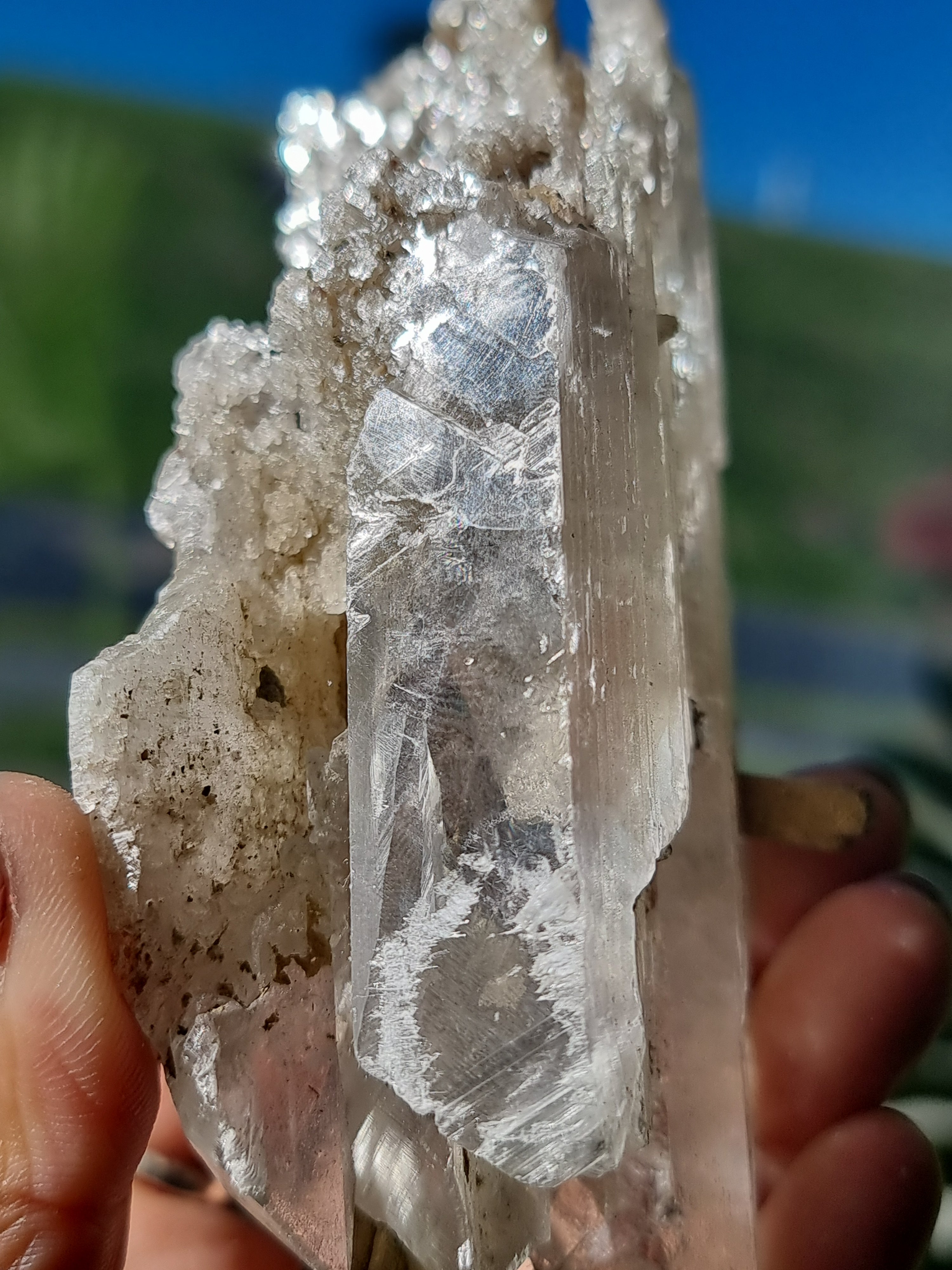 Selenite Blade Cluster