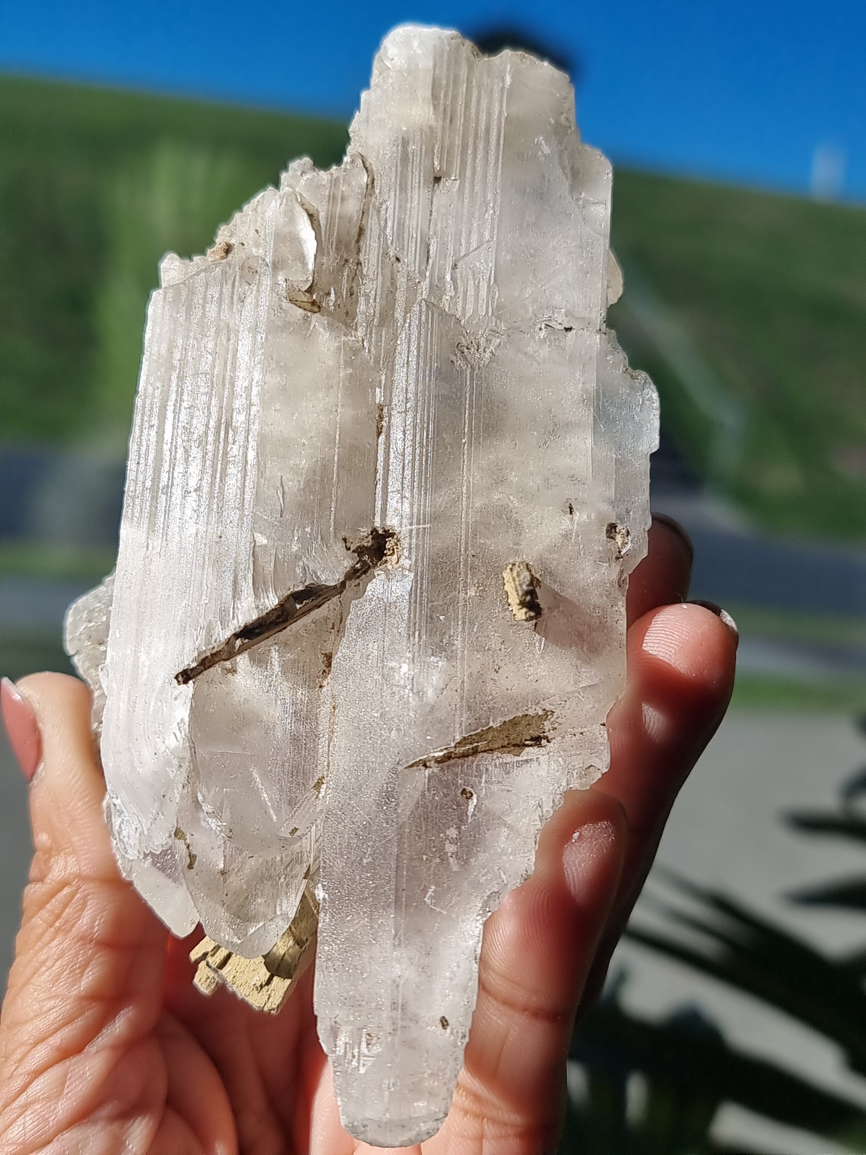 Selenite Blade Cluster