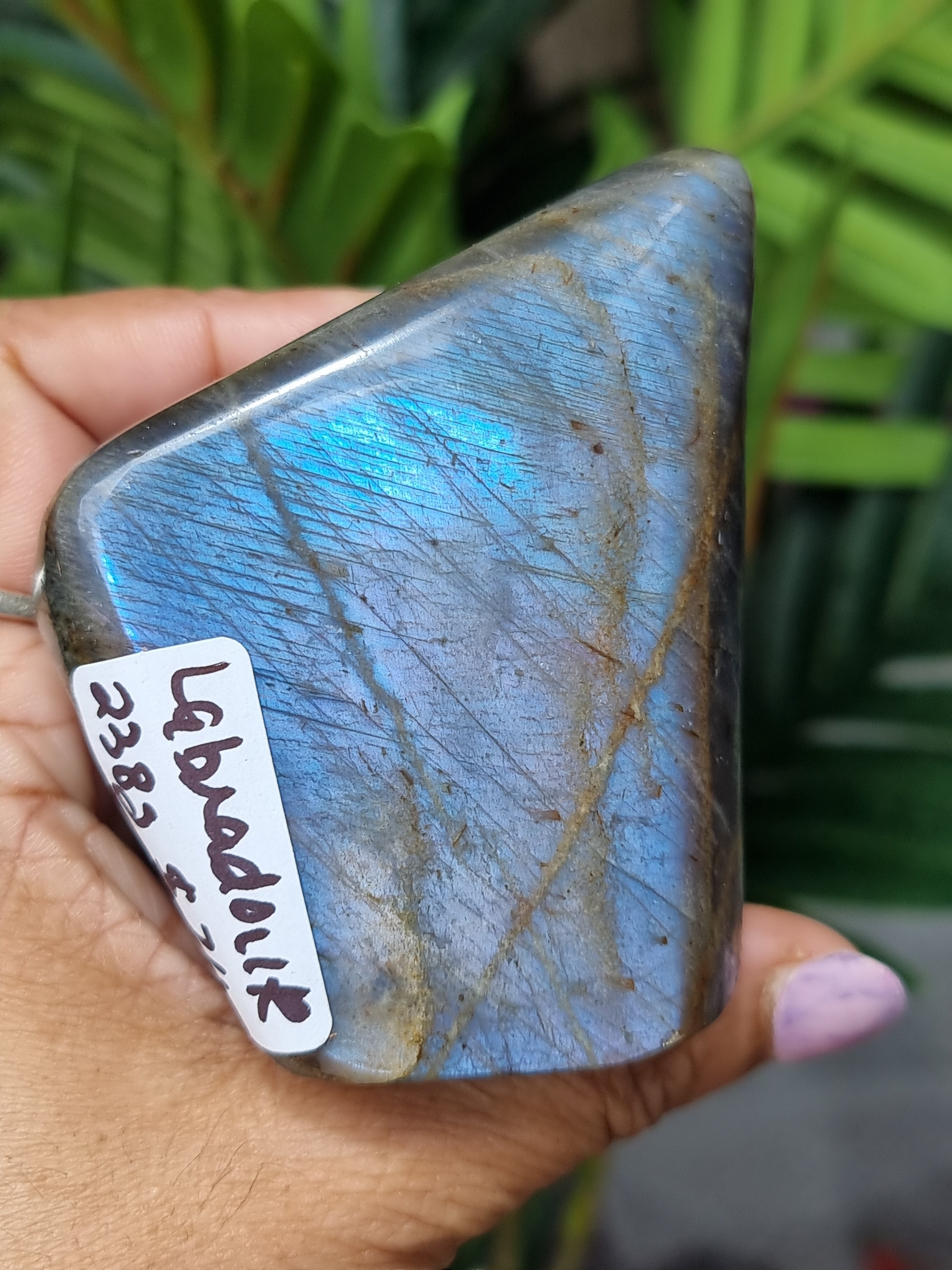 Labradorite Freeform
