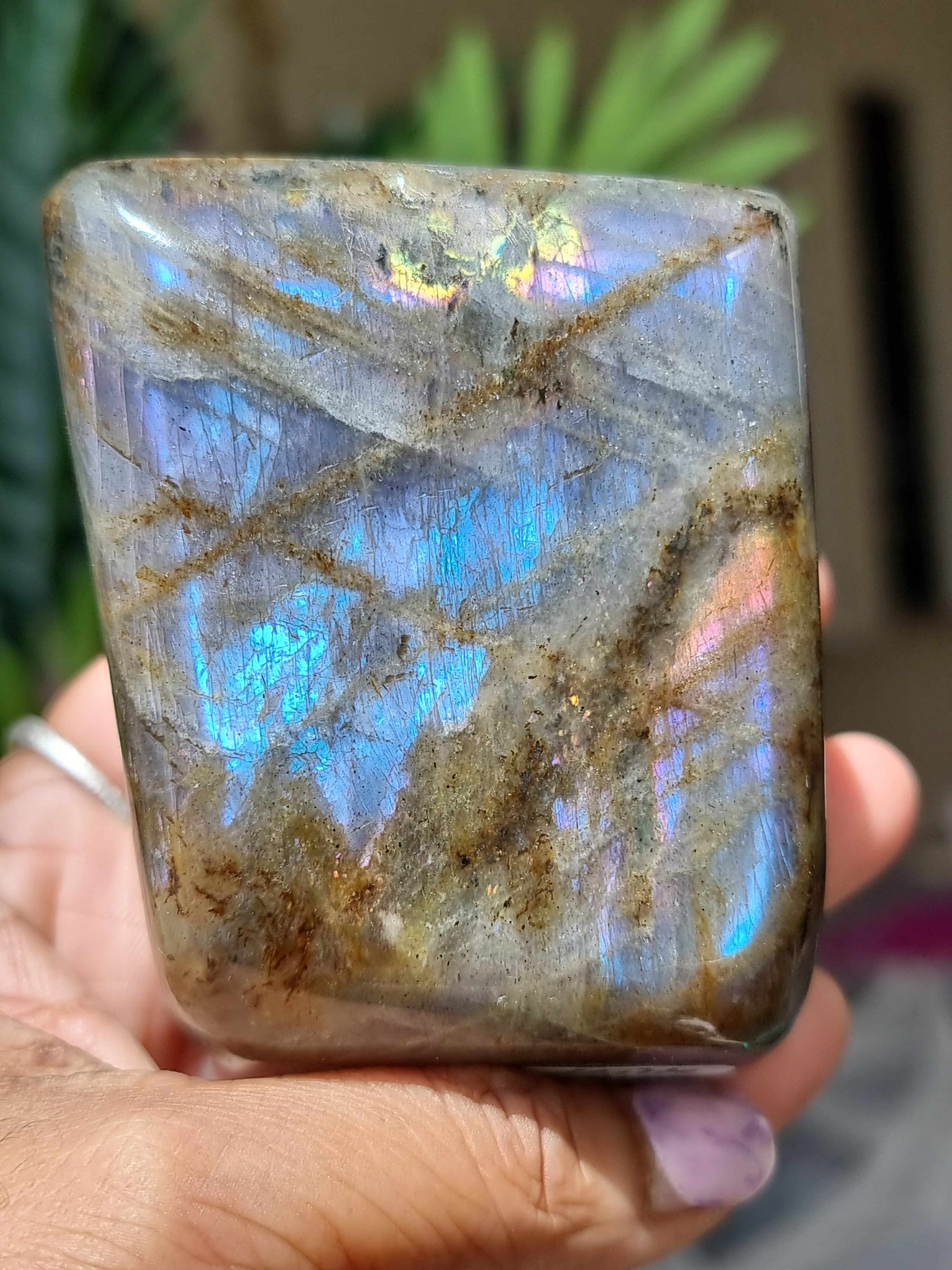 LABRADORITE Freeform