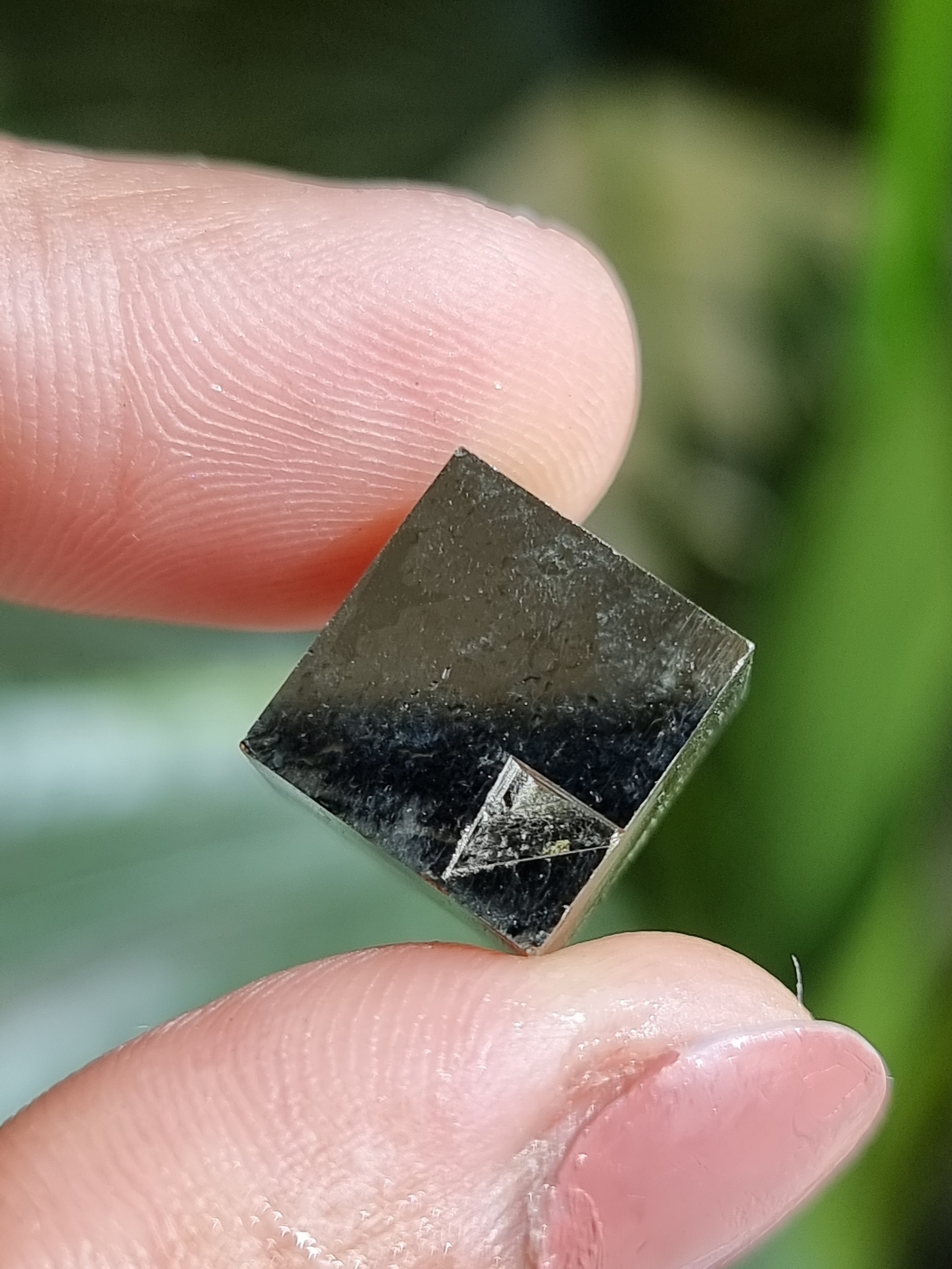 Pyrite Cube