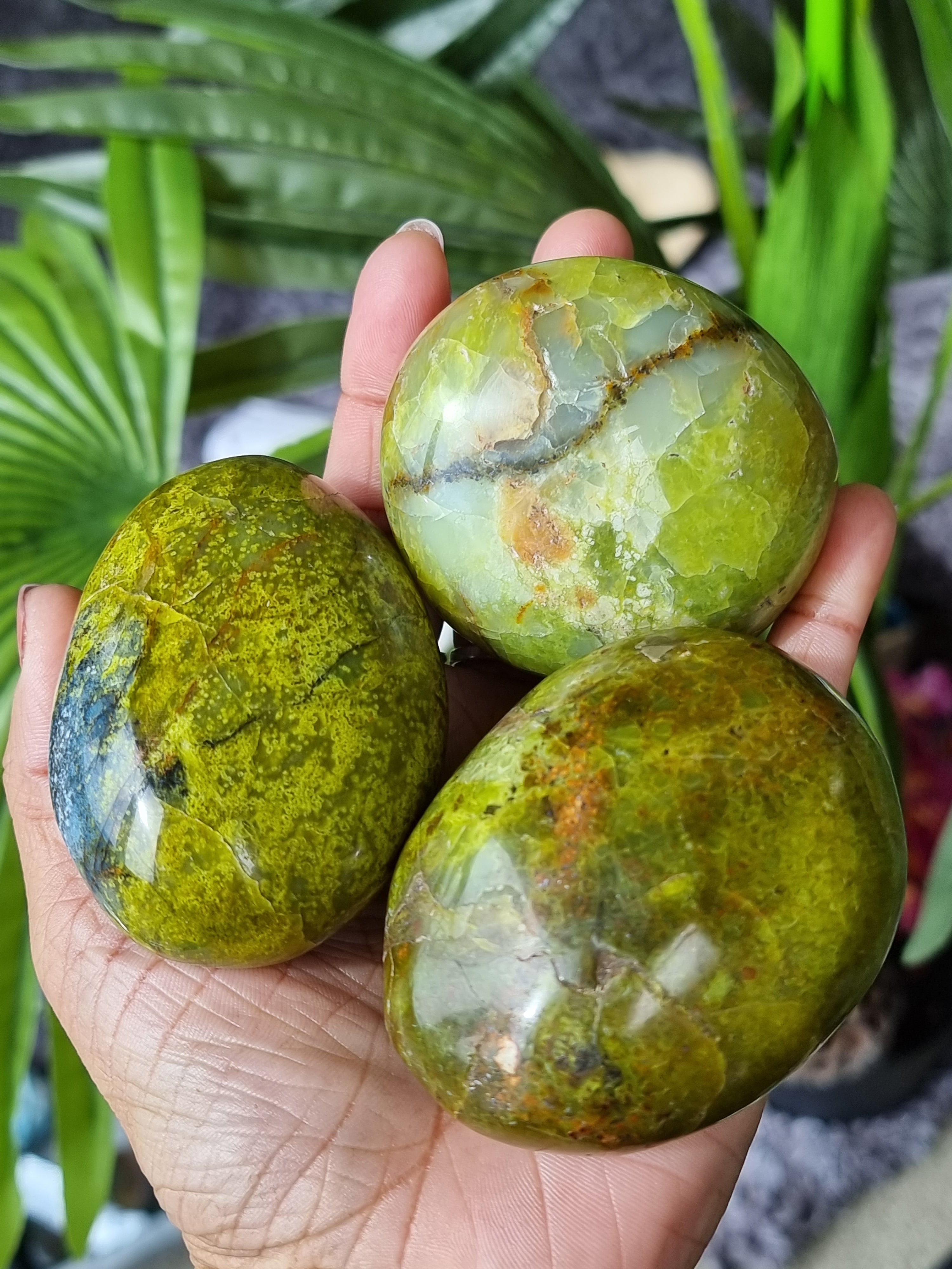 Green Opal Palm Stone