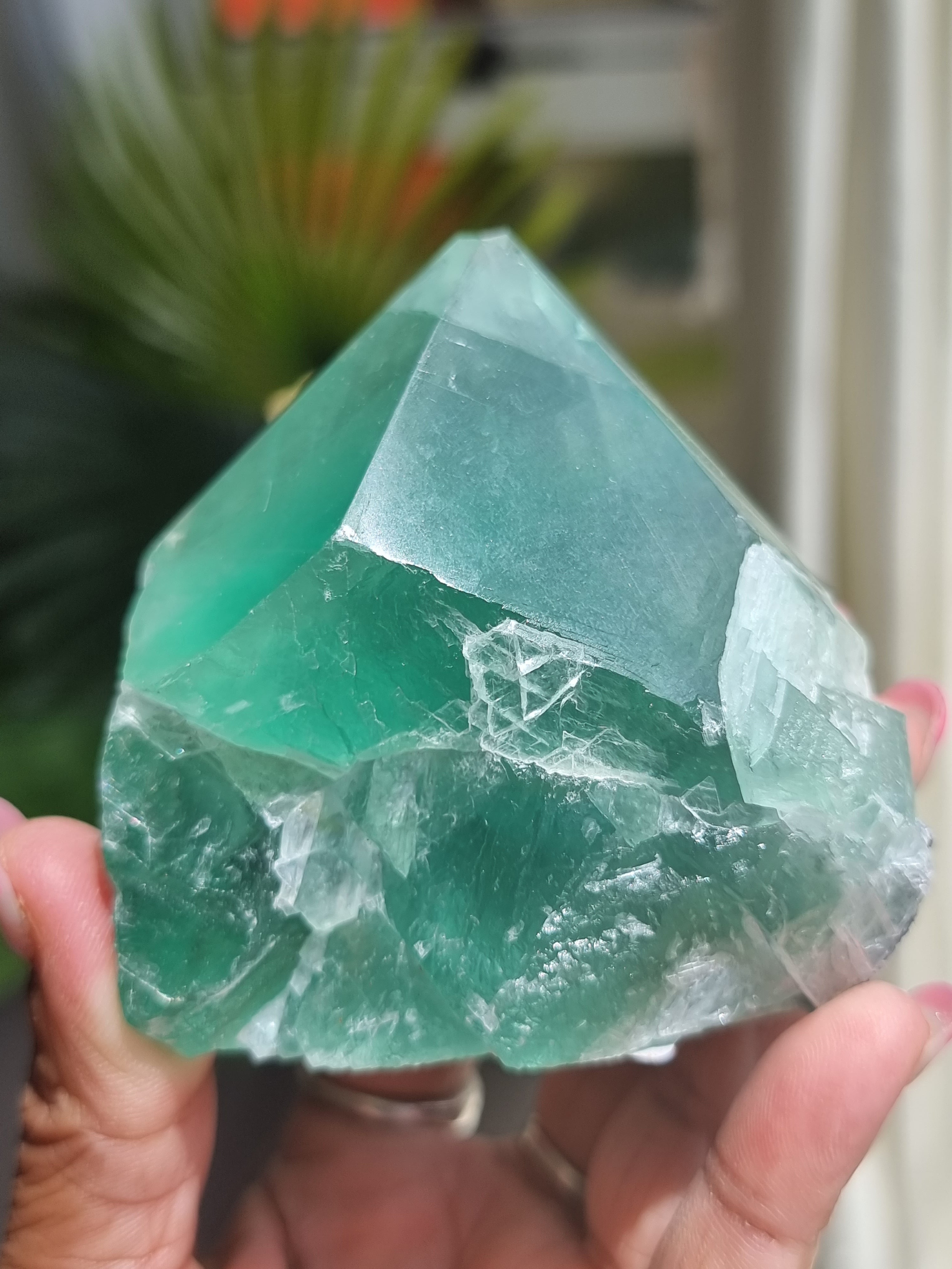 Fluorite cut Point Semi Polished