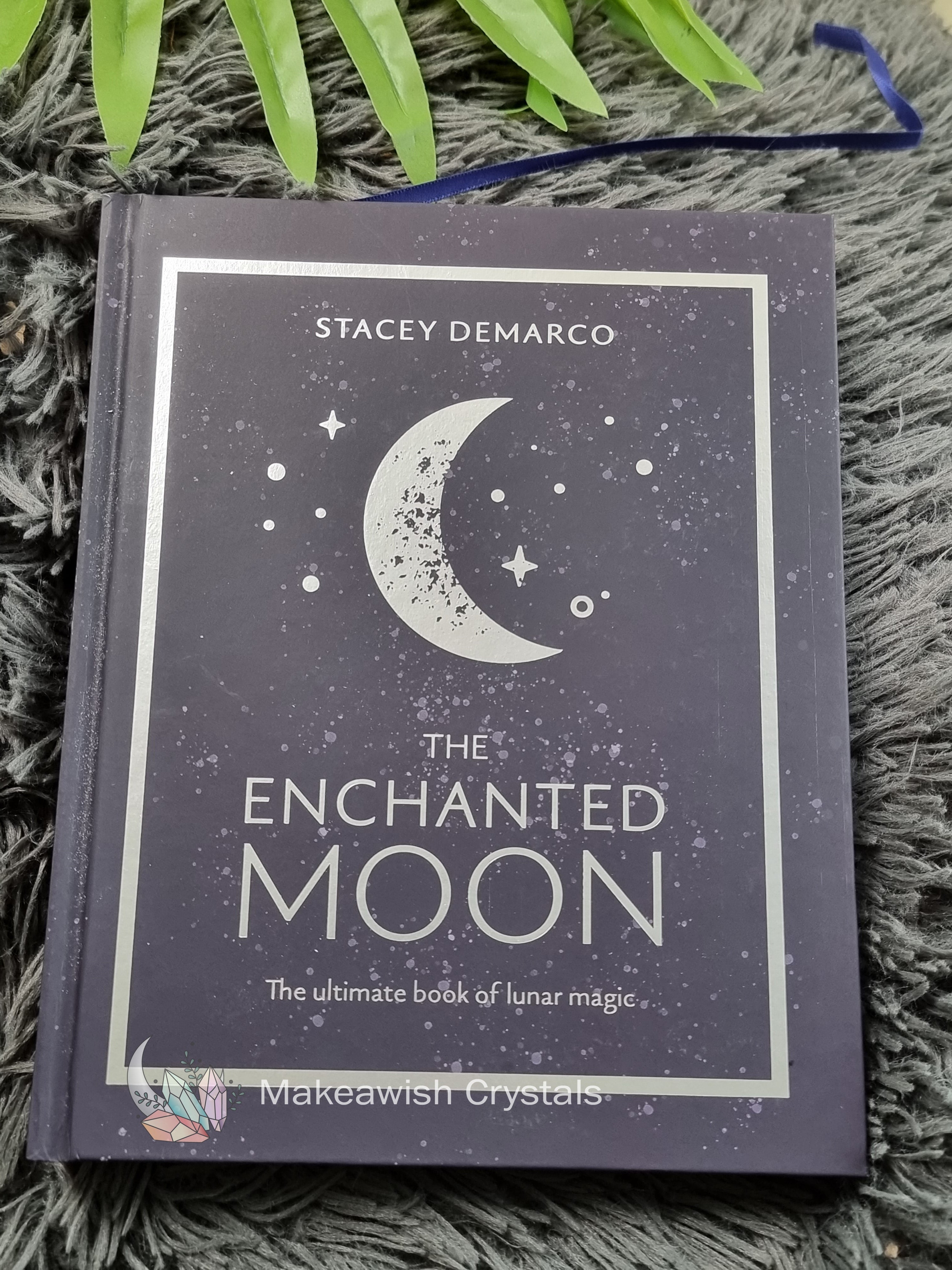 The Enchanted Moon Book