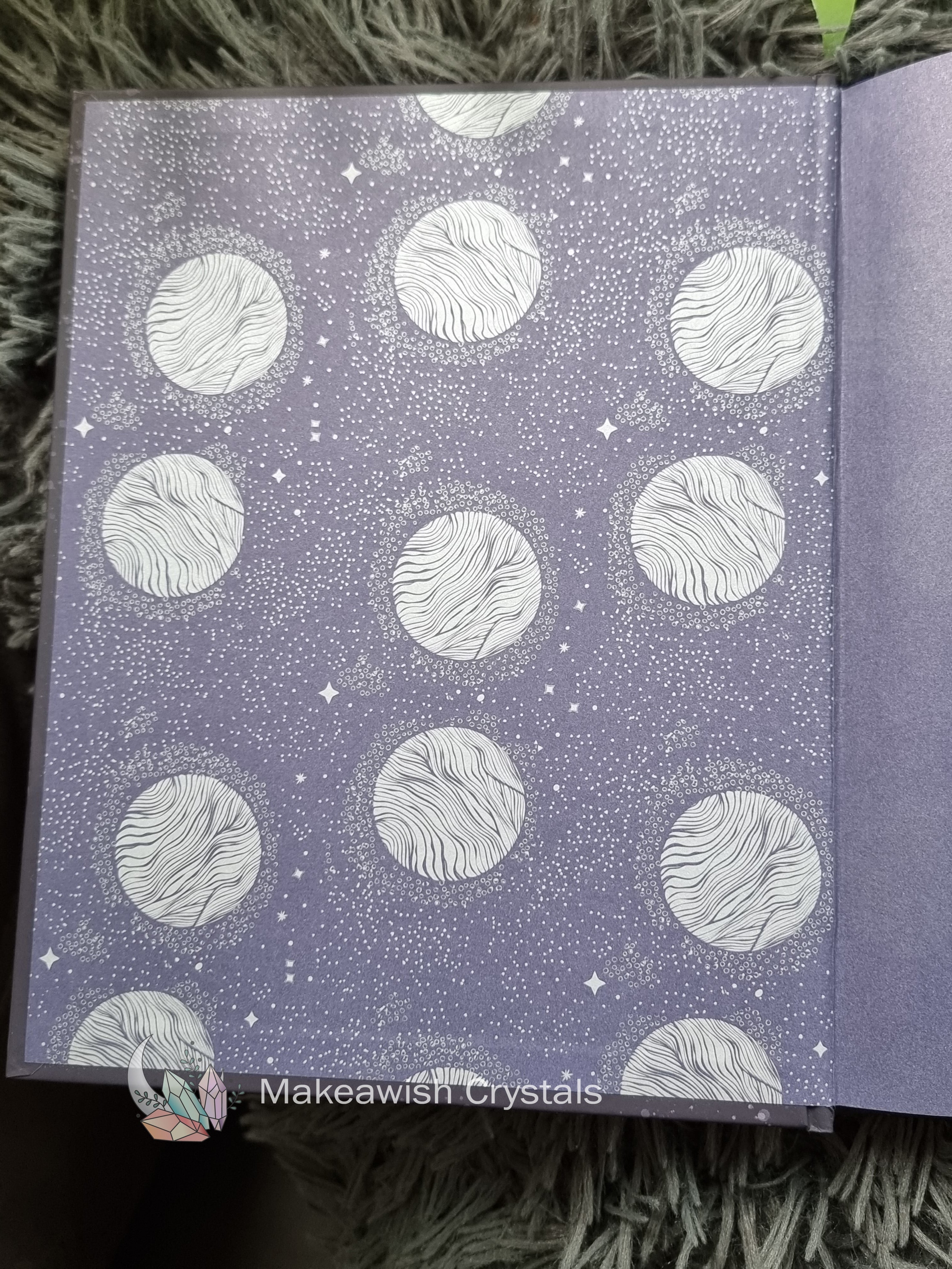 The Enchanted Moon Book