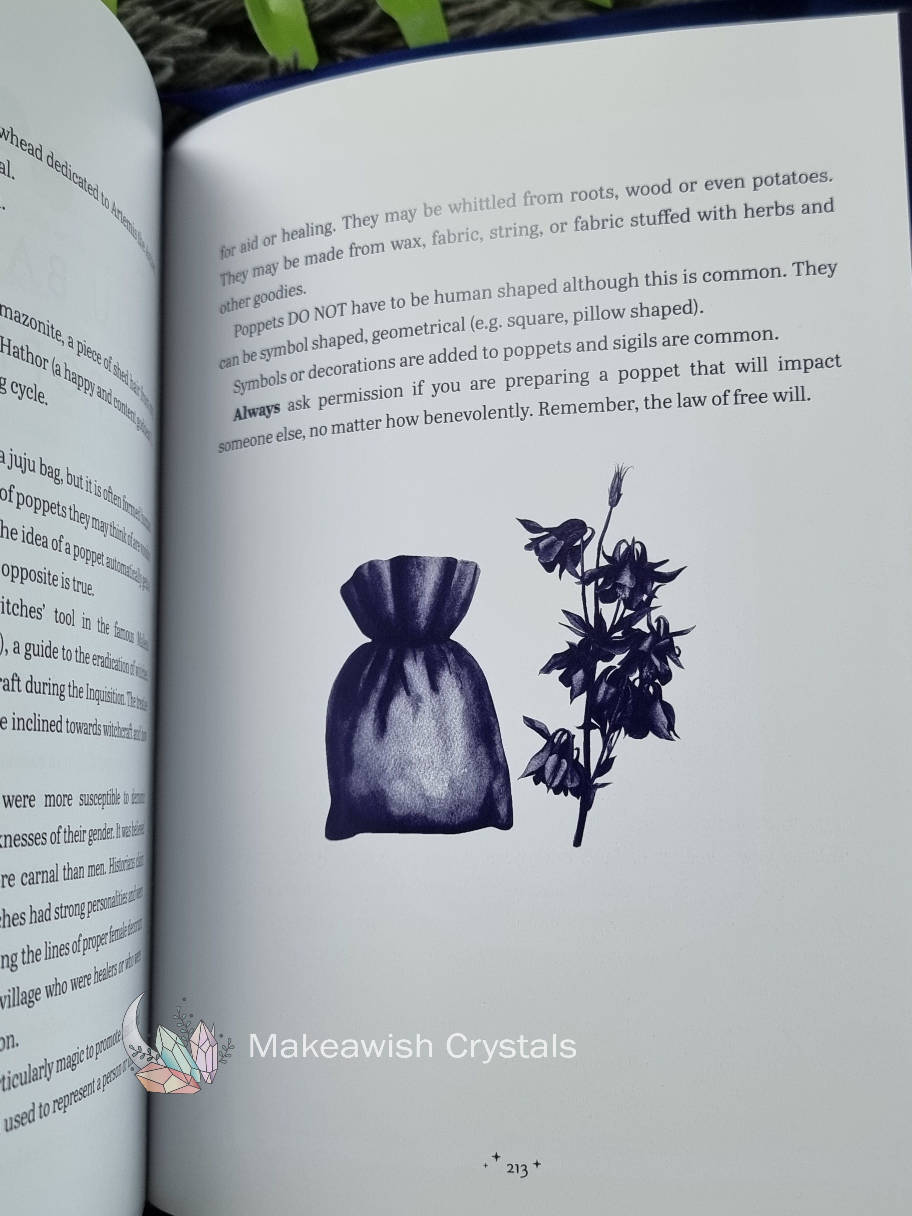 The Enchanted Moon Book