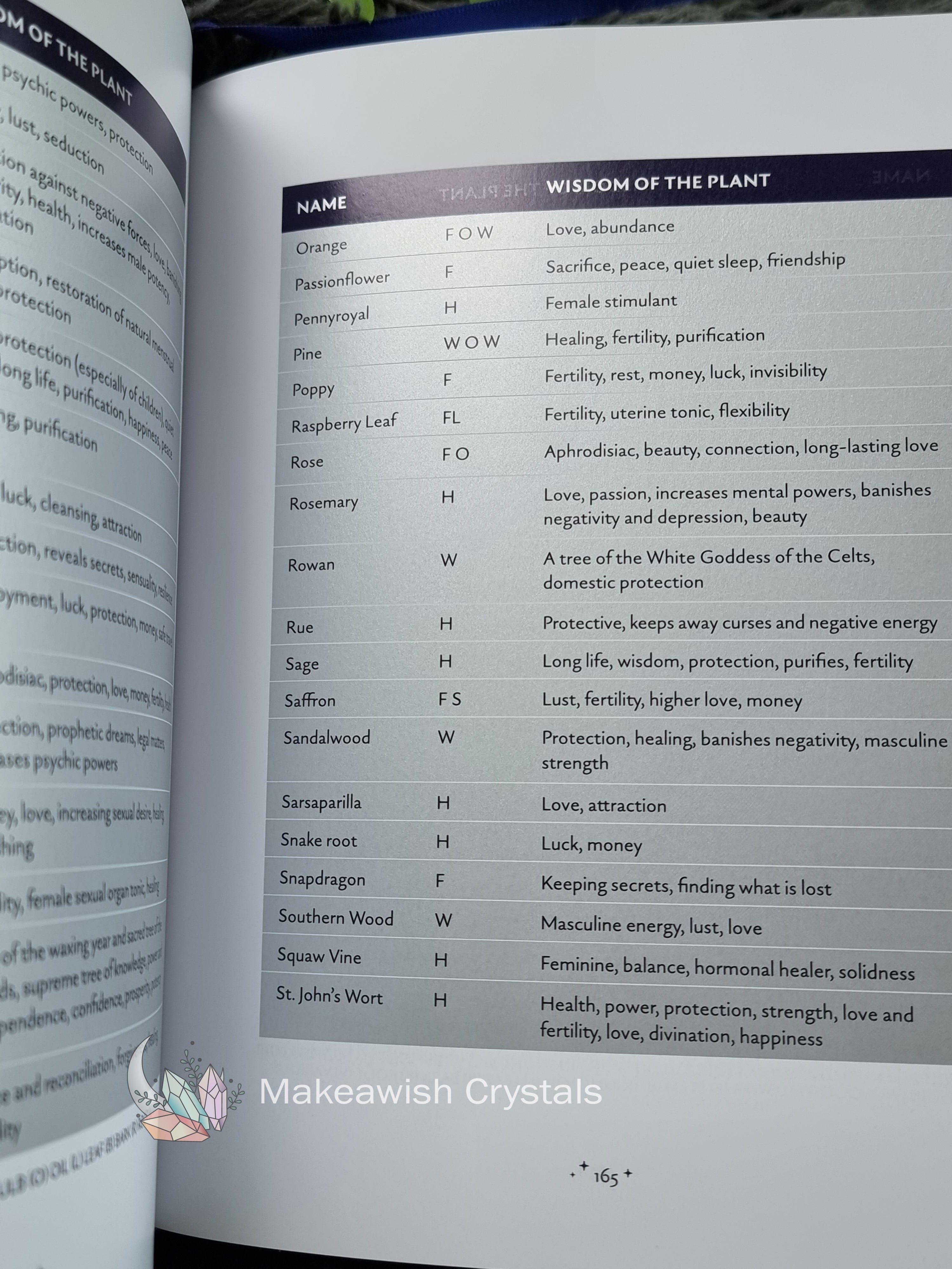 The Enchanted Moon Book