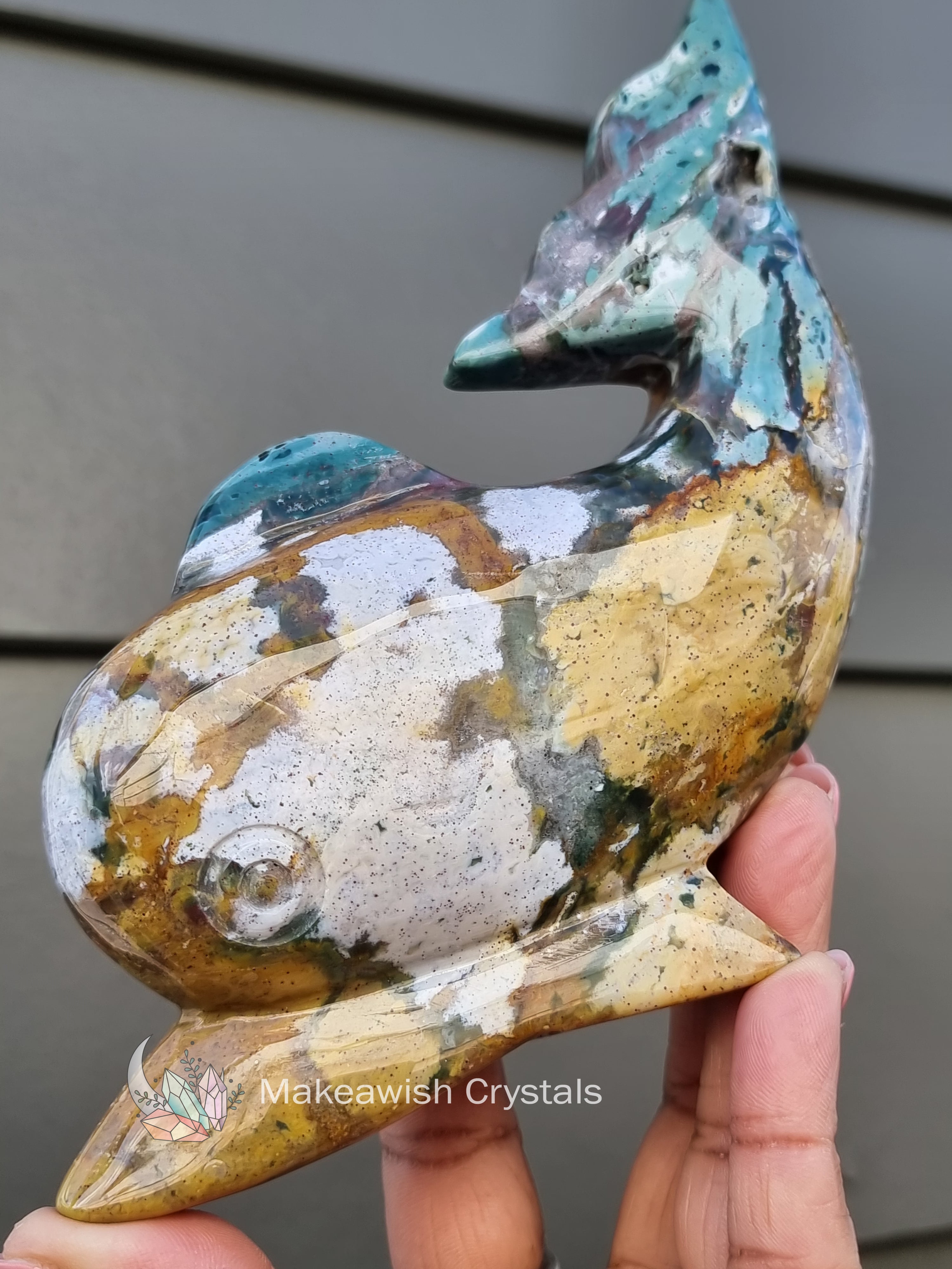 Ocean Jasper Dolphin