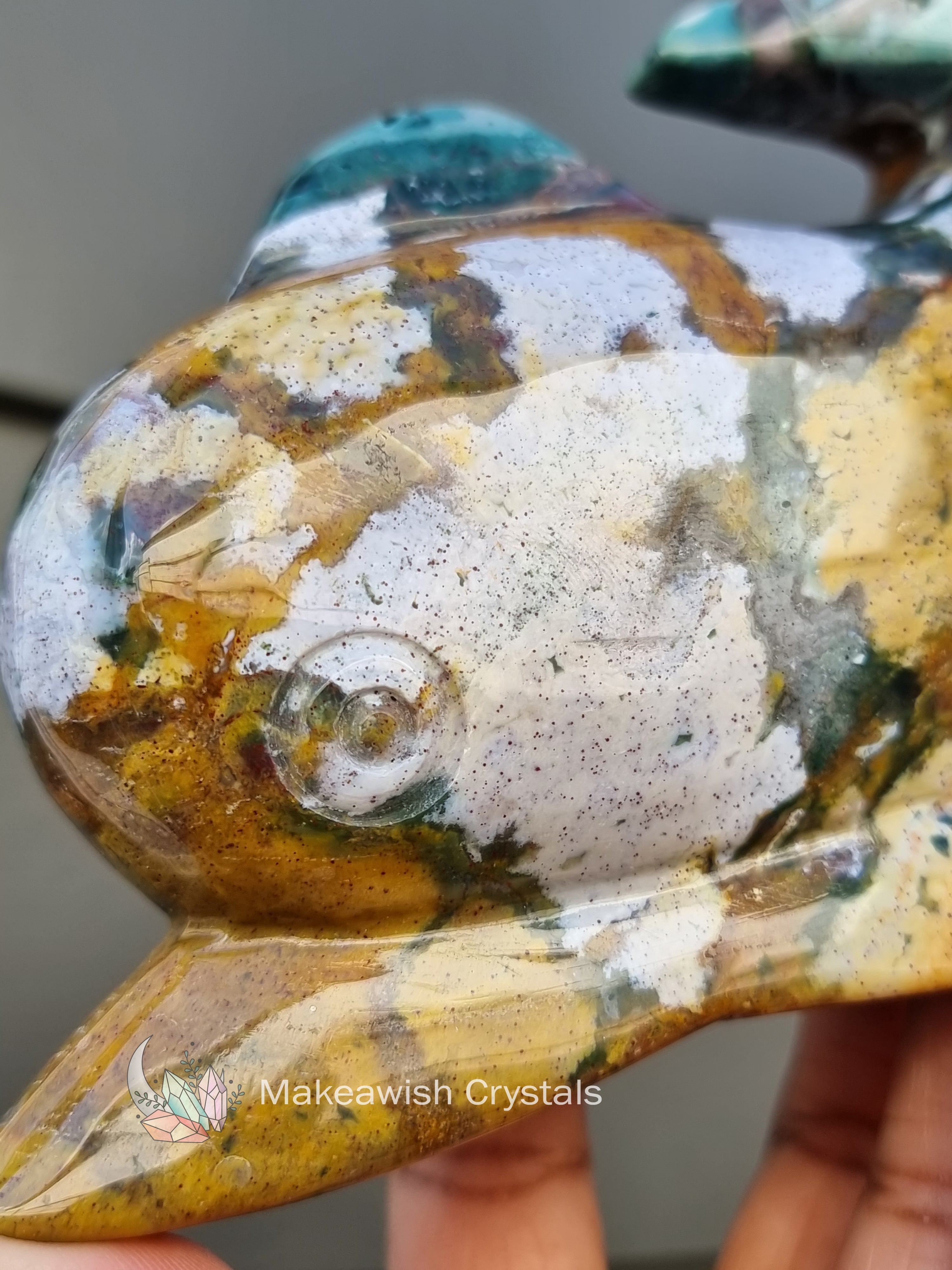 Ocean Jasper Dolphin