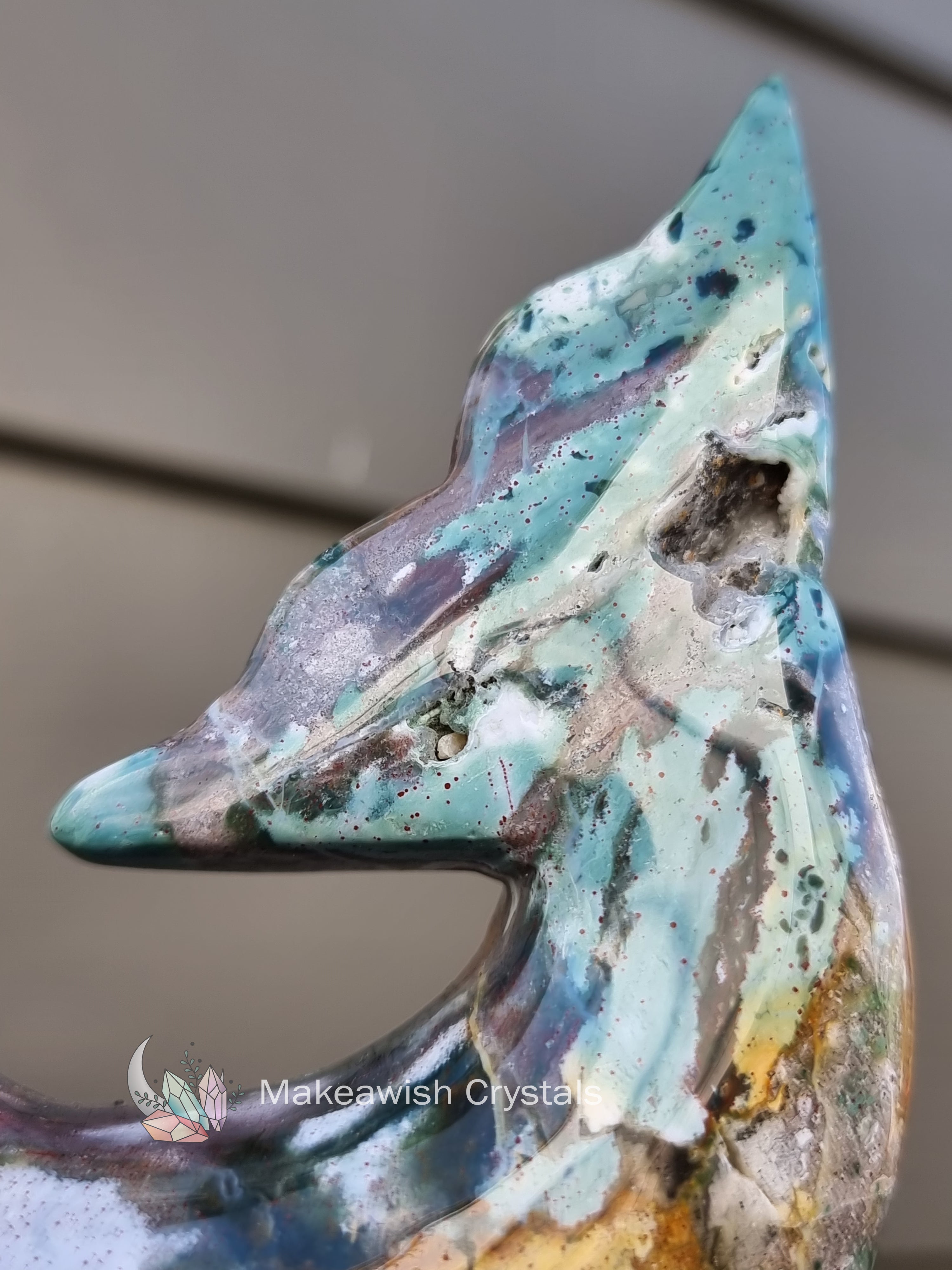 Ocean Jasper Dolphin