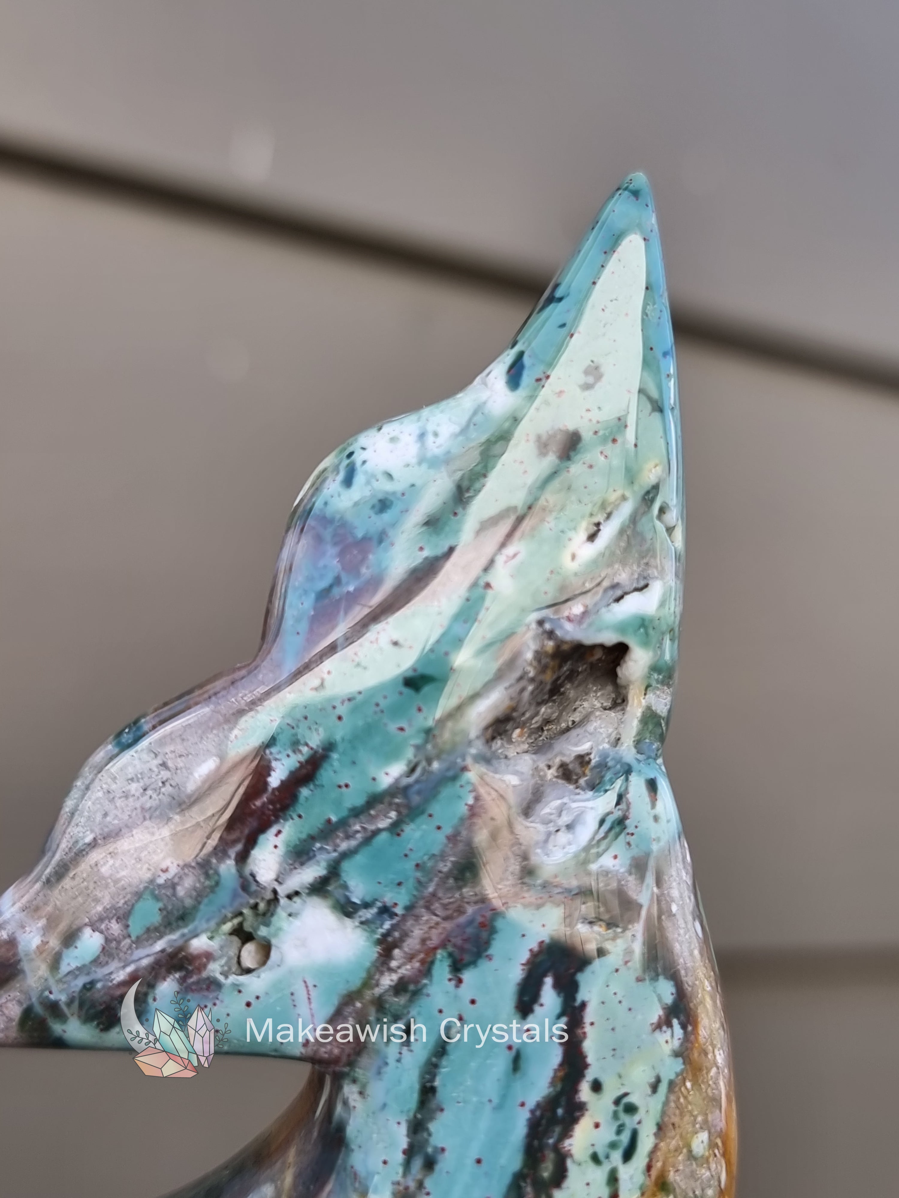 Ocean Jasper Dolphin