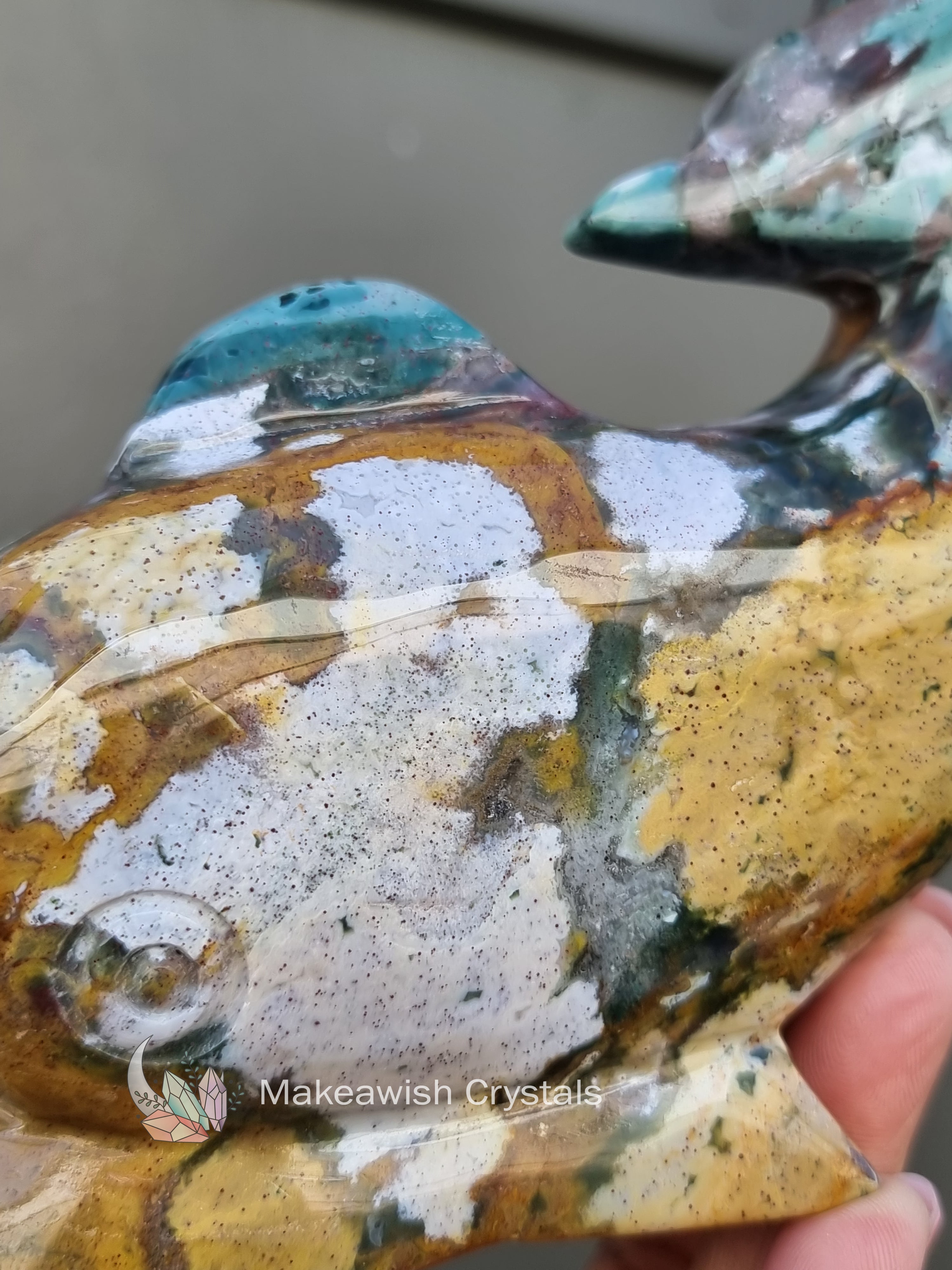 Ocean Jasper Dolphin