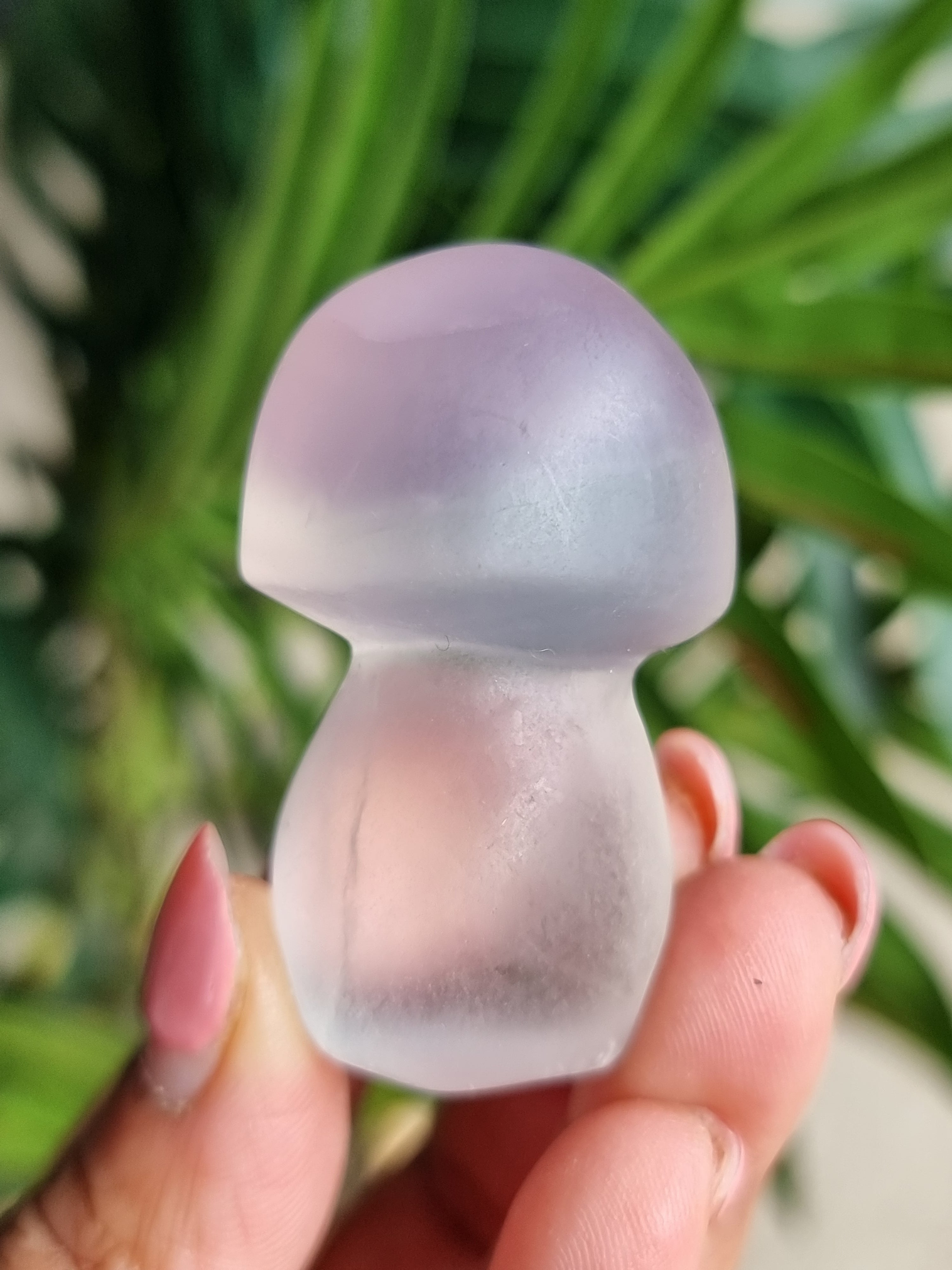 Yttrium Fluorite Mushroom