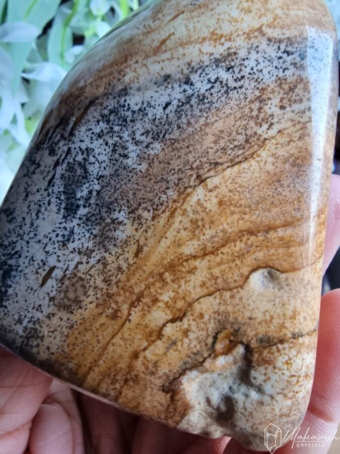 Picture Jasper Freeform
