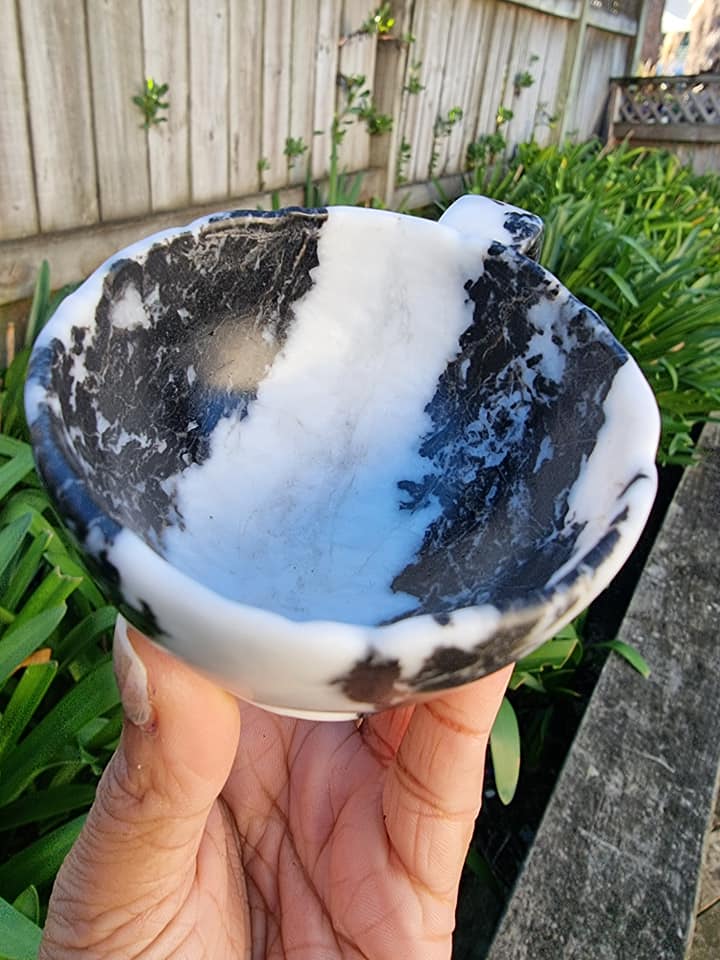 Zebra Jasper Cup